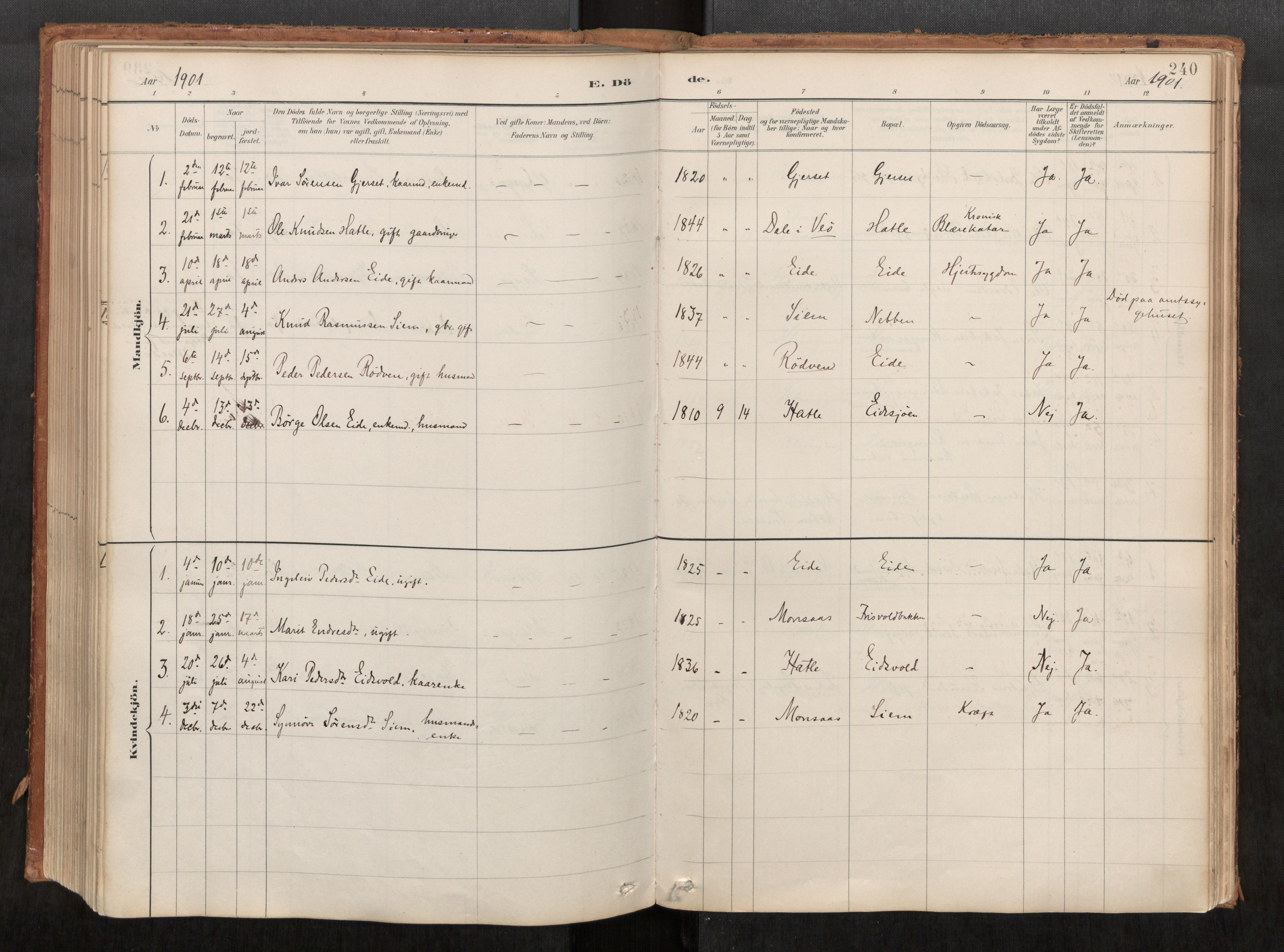 Ministerialprotokoller, klokkerbøker og fødselsregistre - Møre og Romsdal, AV/SAT-A-1454/542/L0553: Ministerialbok nr. 542A03, 1885-1925, s. 240