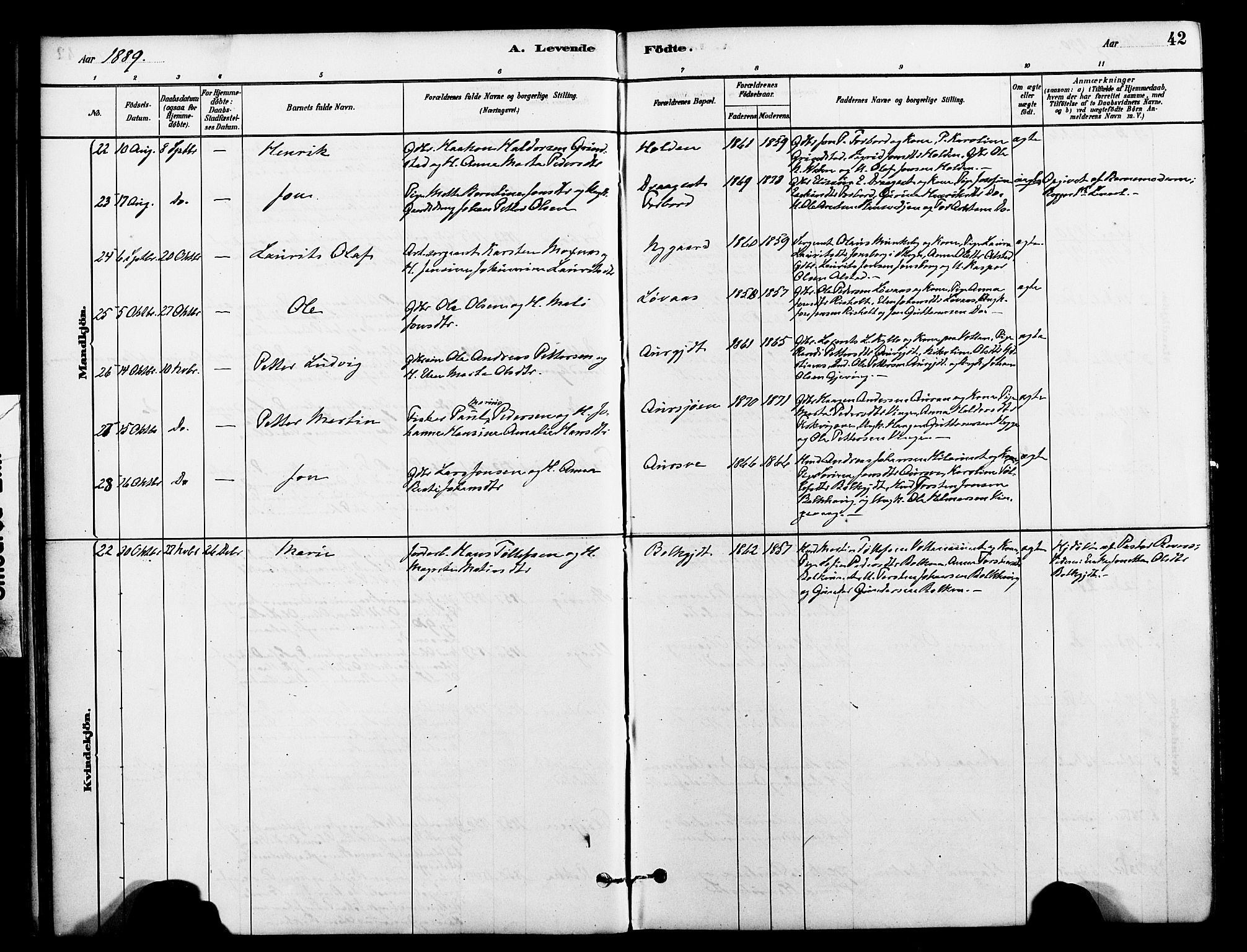 Ministerialprotokoller, klokkerbøker og fødselsregistre - Nord-Trøndelag, AV/SAT-A-1458/712/L0100: Ministerialbok nr. 712A01, 1880-1900, s. 42