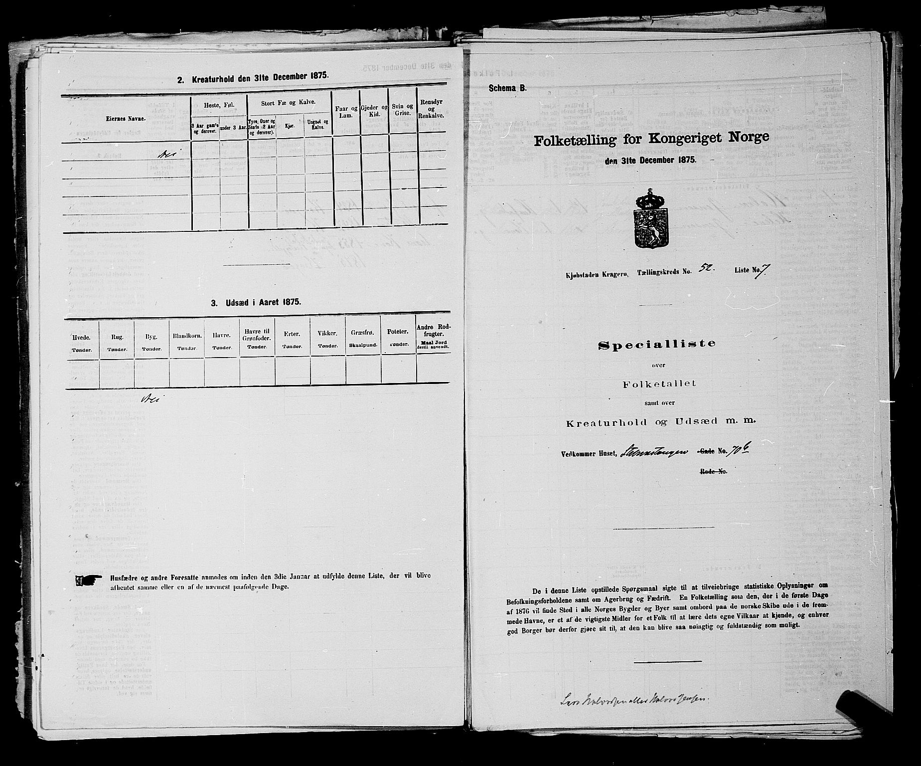 SAKO, Folketelling 1875 for 0801P Kragerø prestegjeld, 1875, s. 1156