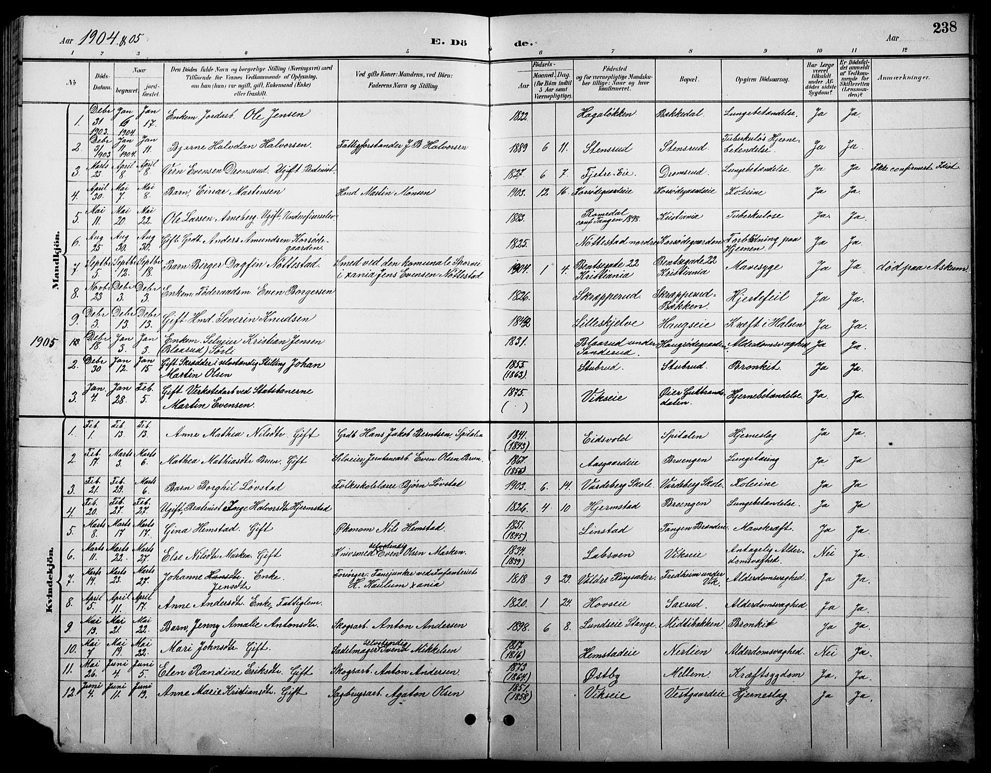 Stange prestekontor, AV/SAH-PREST-002/L/L0011: Klokkerbok nr. 11, 1895-1917, s. 238
