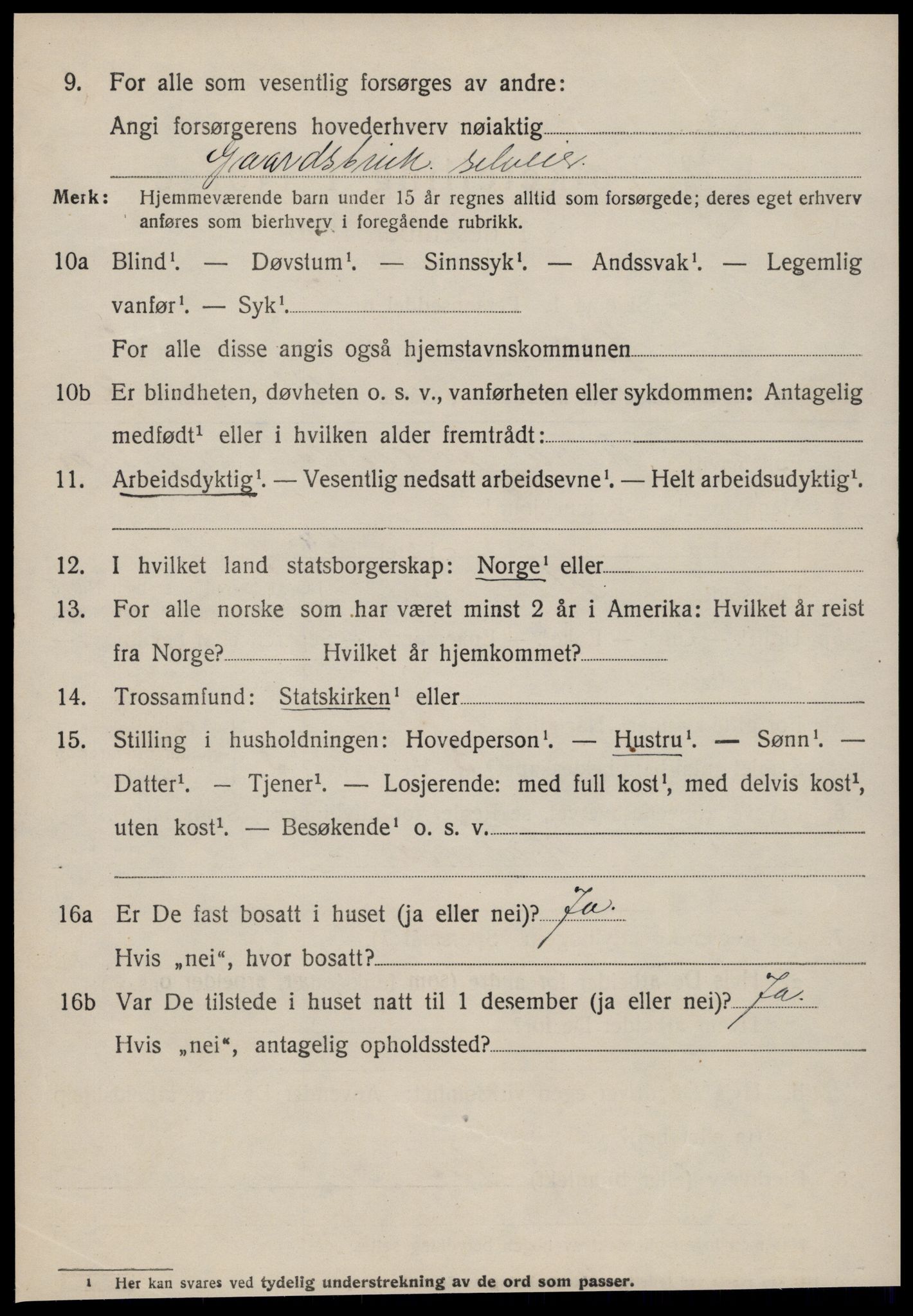SAT, Folketelling 1920 for 1540 Hen herred, 1920, s. 991