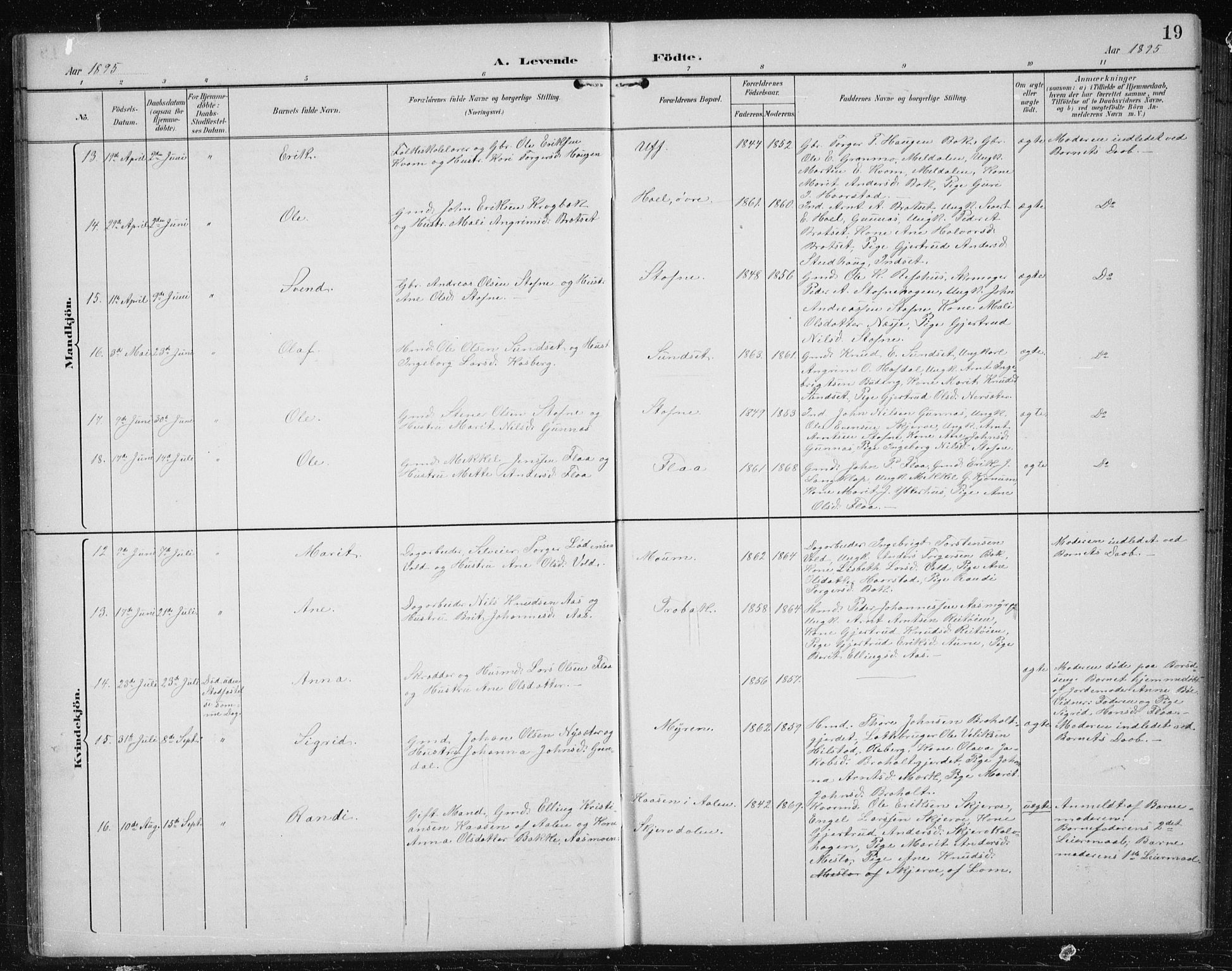 Ministerialprotokoller, klokkerbøker og fødselsregistre - Sør-Trøndelag, AV/SAT-A-1456/674/L0876: Klokkerbok nr. 674C03, 1892-1912, s. 19