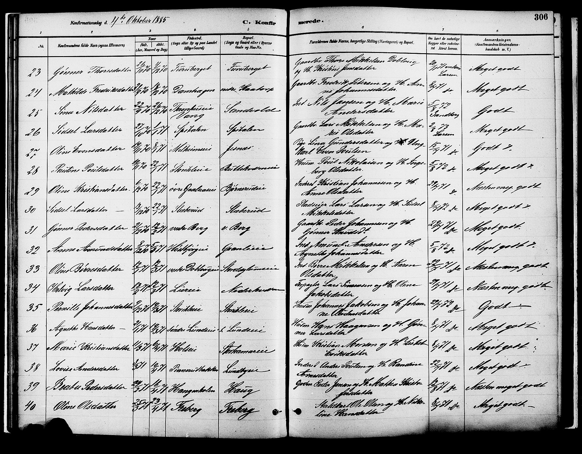 Vang prestekontor, Hedmark, AV/SAH-PREST-008/H/Ha/Haa/L0018B: Ministerialbok nr. 18B, 1880-1906, s. 306