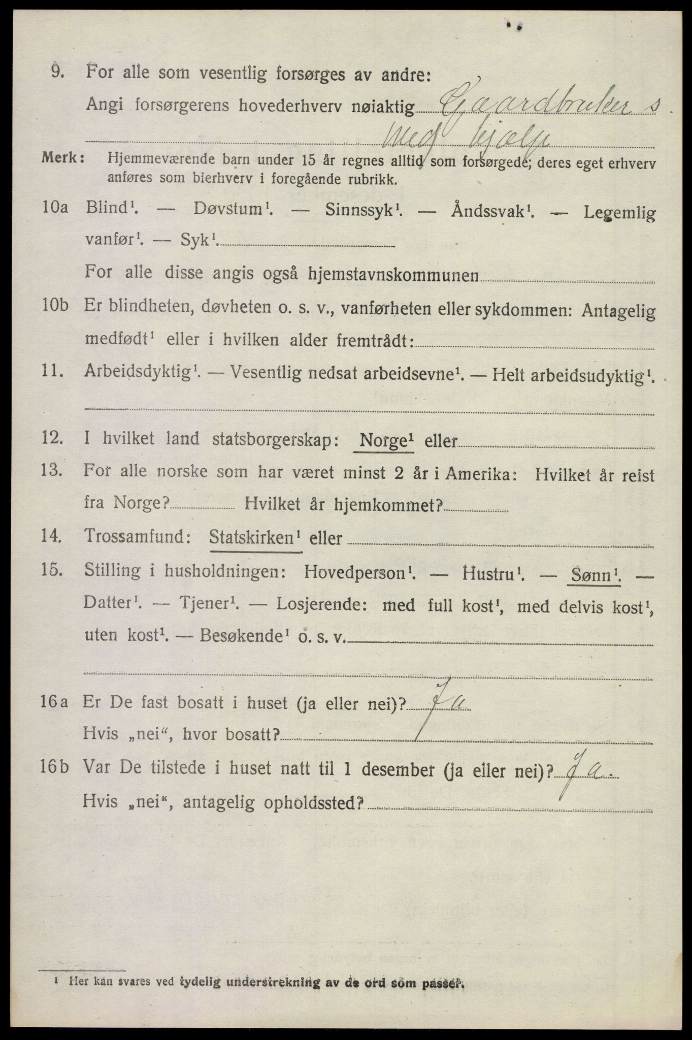 SAKO, Folketelling 1920 for 0716 Våle herred, 1920, s. 1111