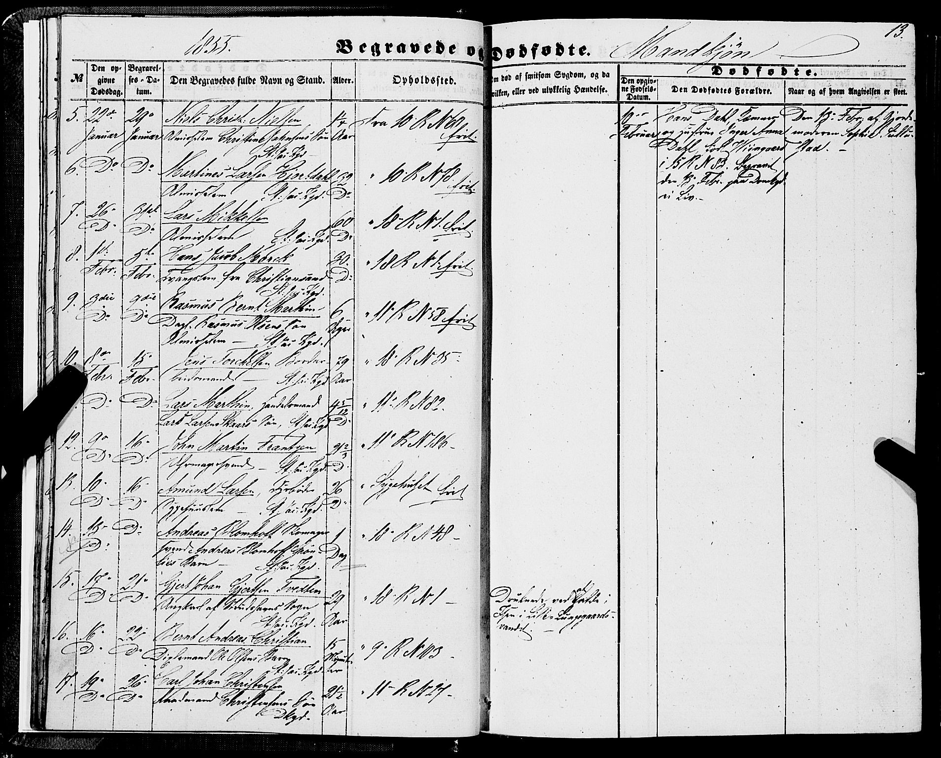 Domkirken sokneprestembete, AV/SAB-A-74801/H/Haa/L0041: Ministerialbok nr. E 2, 1853-1863, s. 13