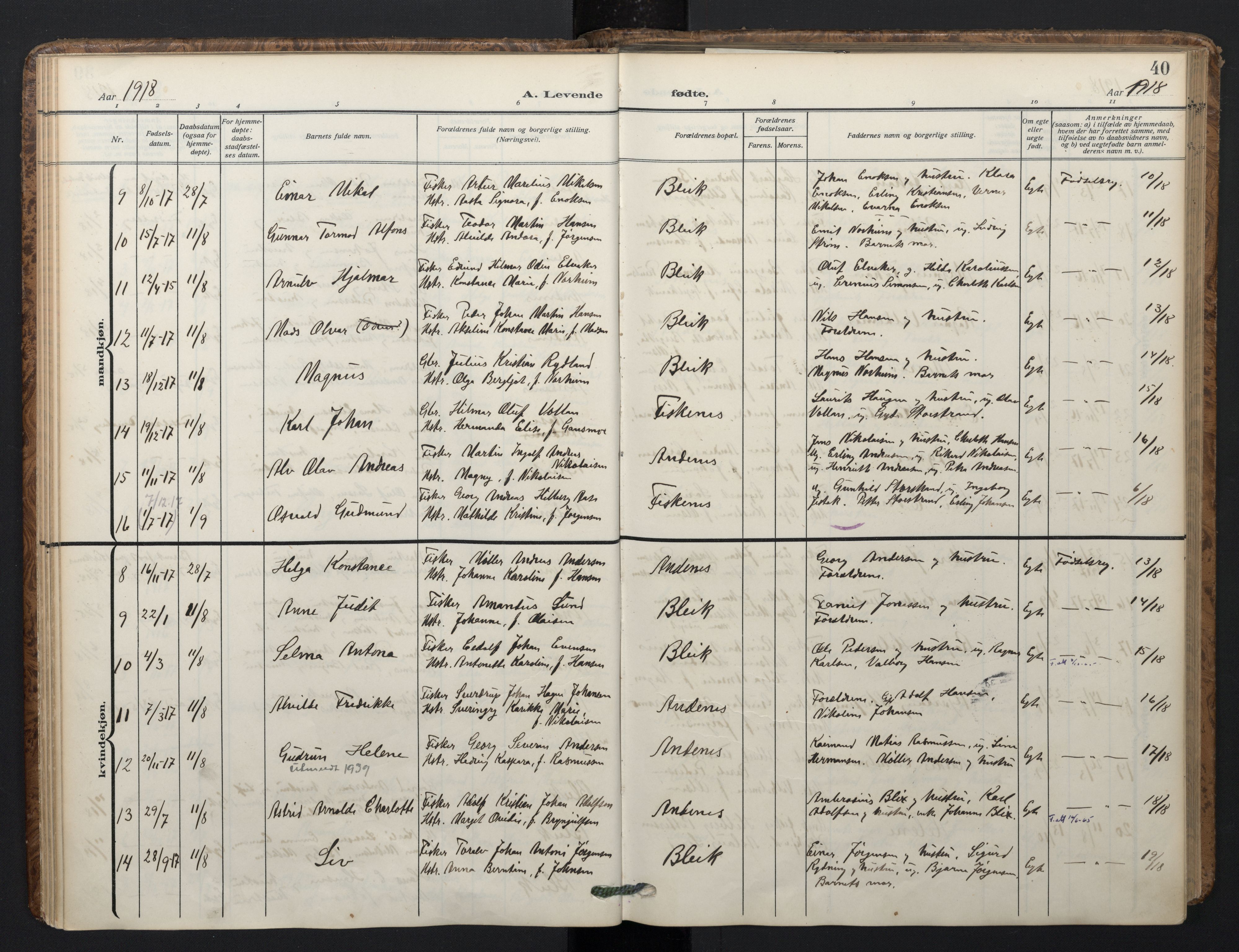 Ministerialprotokoller, klokkerbøker og fødselsregistre - Nordland, AV/SAT-A-1459/899/L1438: Ministerialbok nr. 899A06, 1909-1922, s. 40