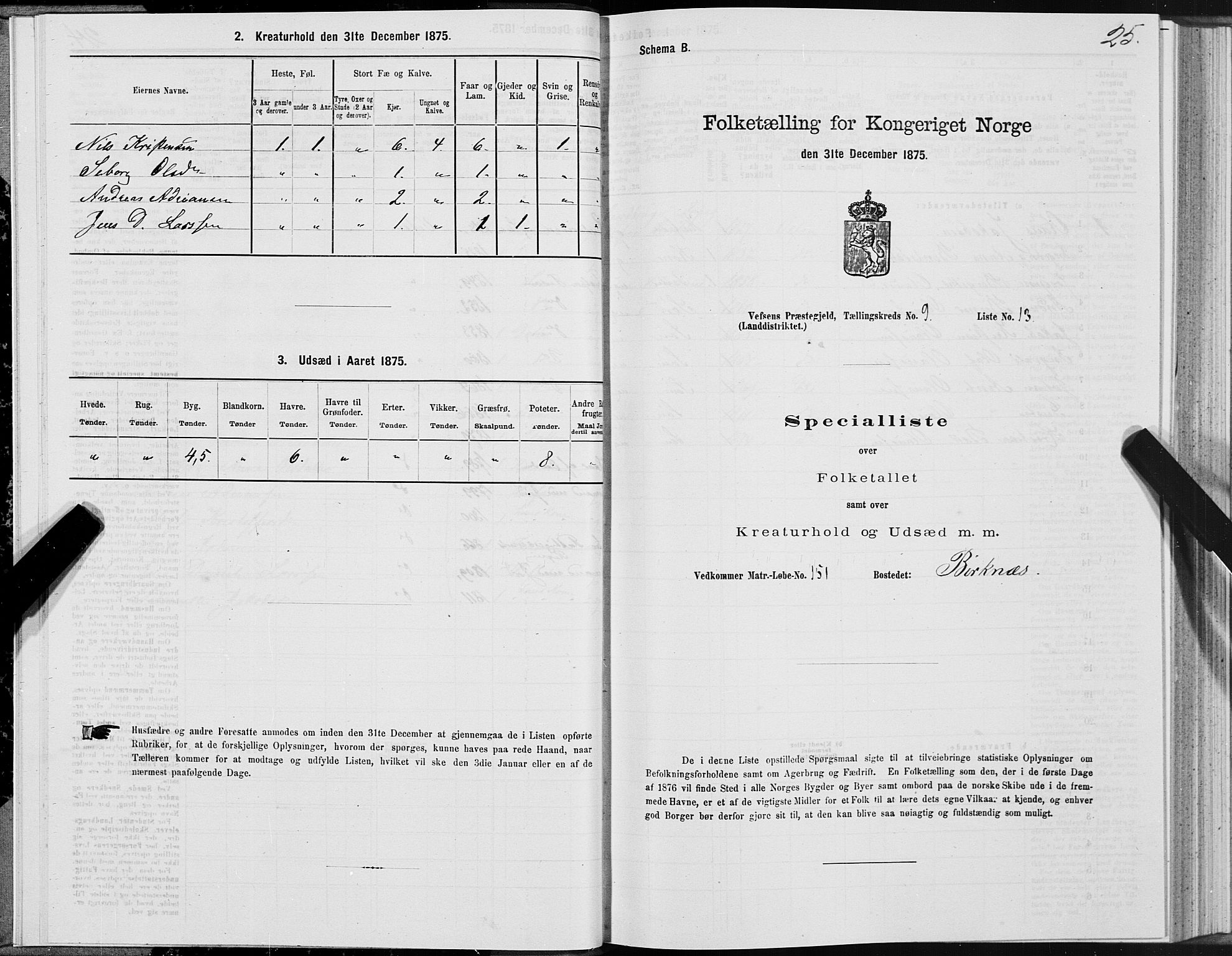 SAT, Folketelling 1875 for 1824L Vefsn prestegjeld, Vefsn sokn, 1875, s. 3025