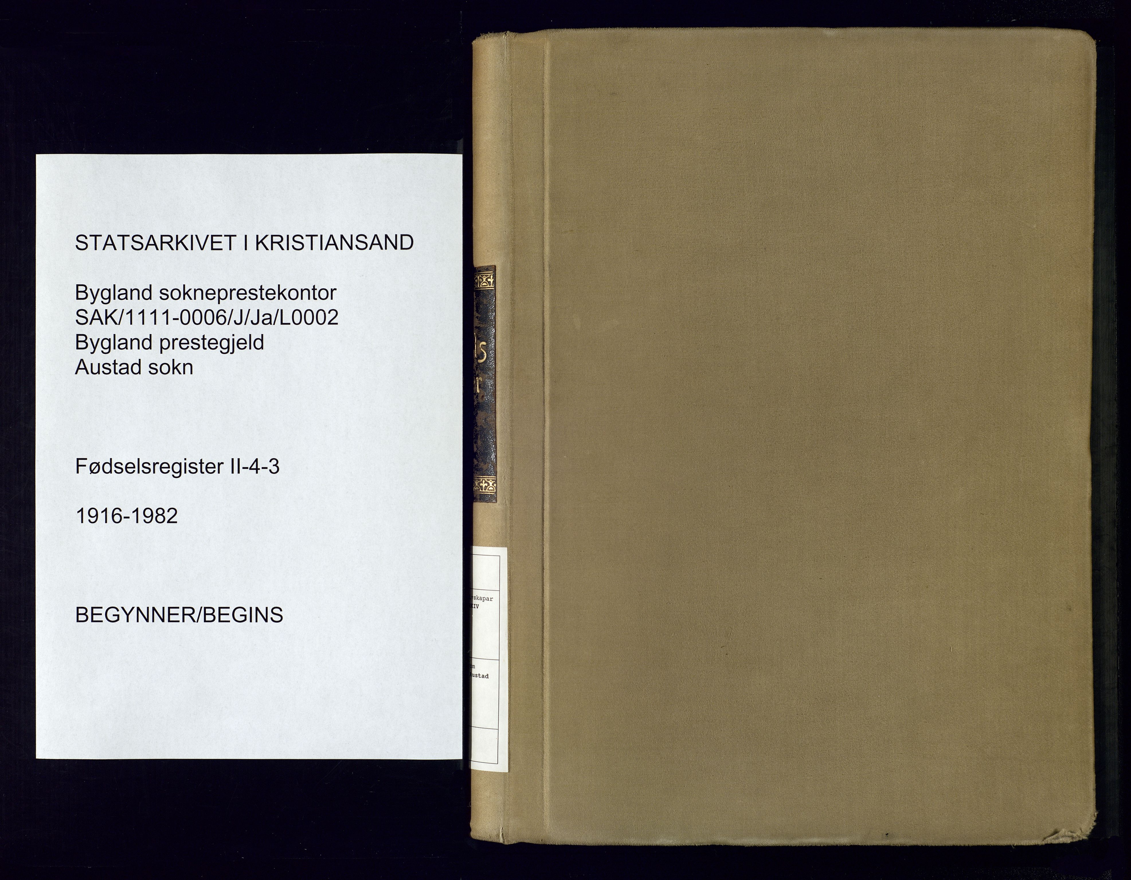 Bygland sokneprestkontor, AV/SAK-1111-0006/J/Ja/L0002: Fødselsregister nr. II.4.3, 1916-1982