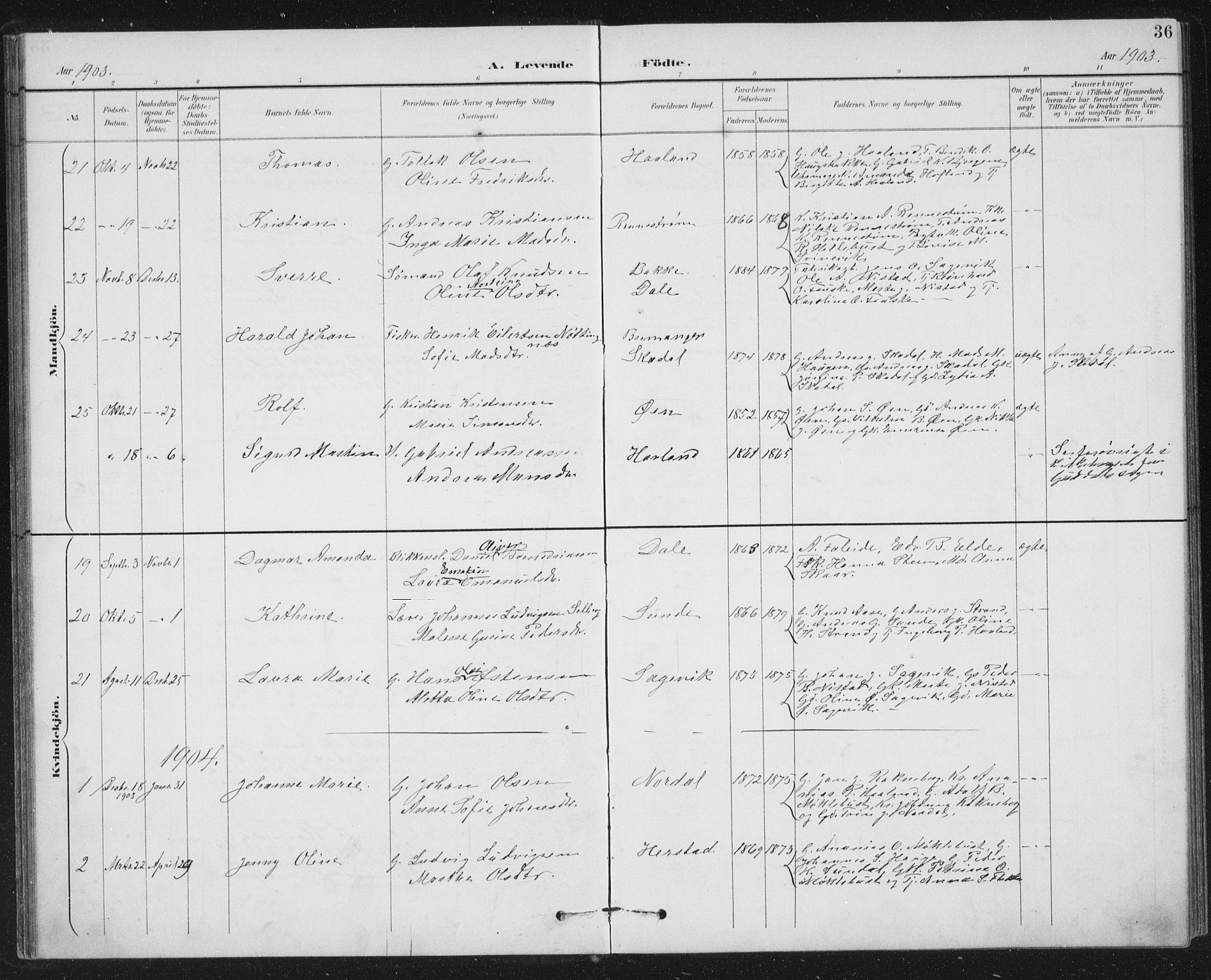 Fjaler sokneprestembete, AV/SAB-A-79801/H/Hab/Habc/L0003: Klokkerbok nr. C 3, 1894-1917, s. 36