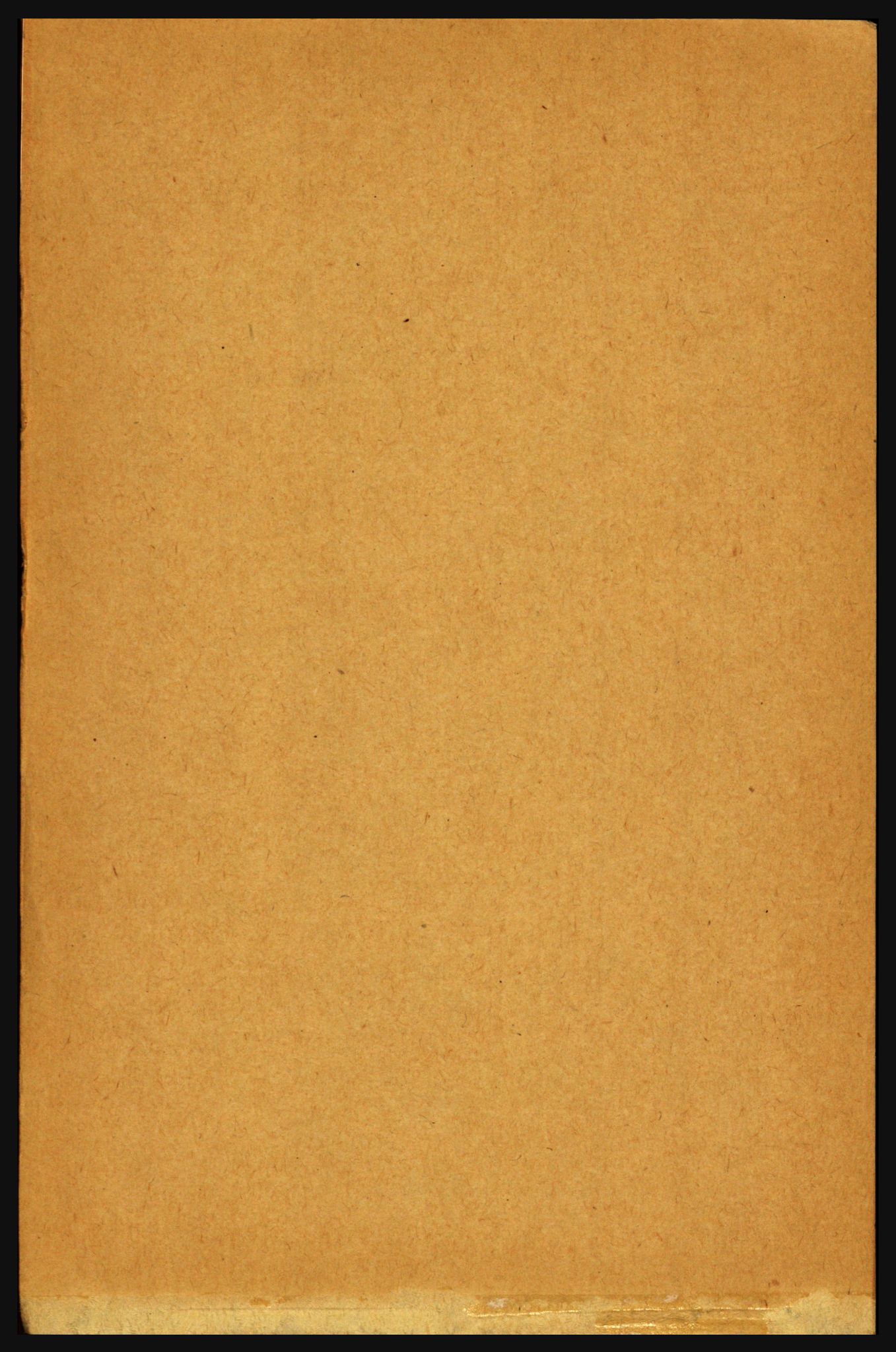 RA, Folketelling 1891 for 1719 Skogn herred, 1891, s. 145