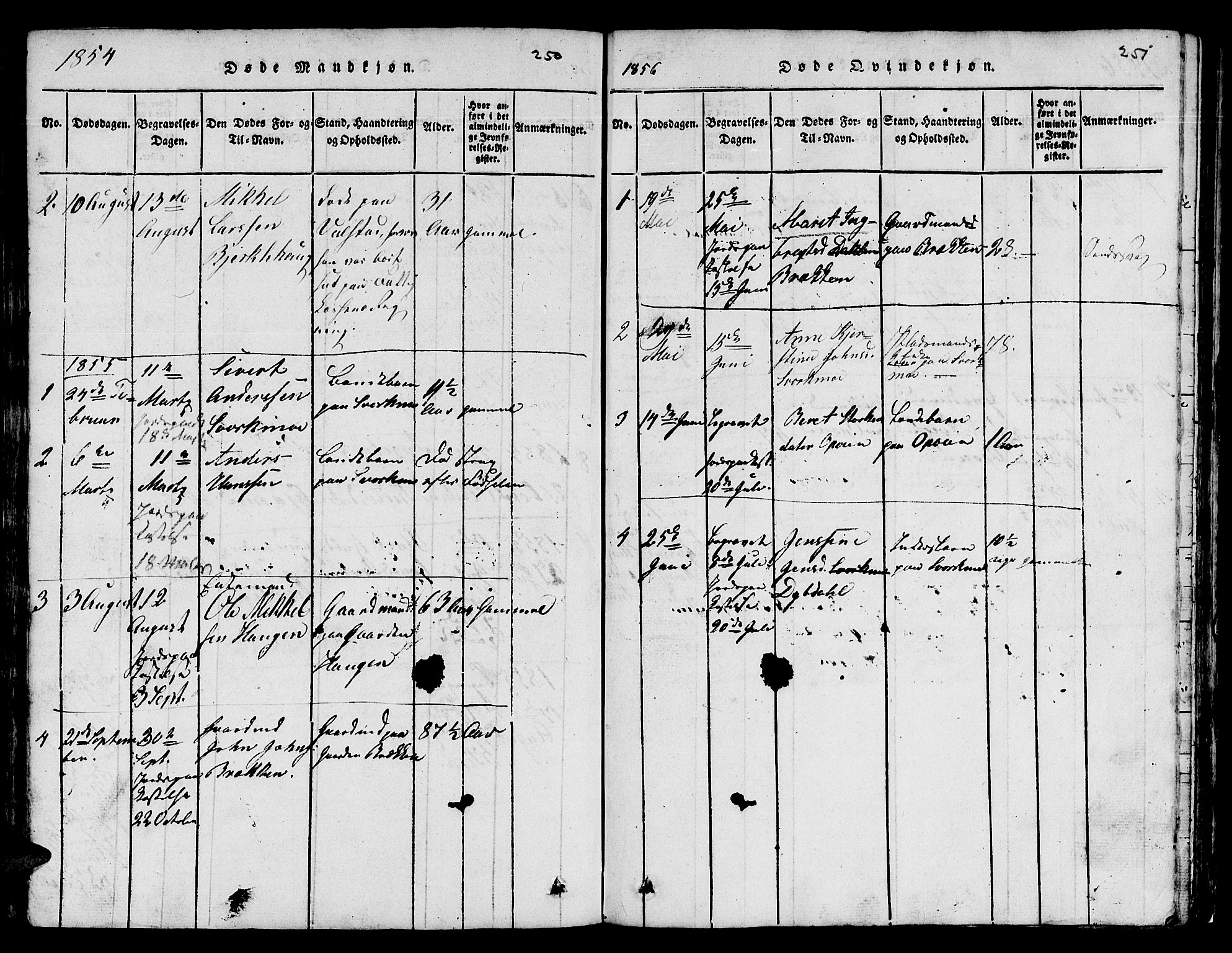 Ministerialprotokoller, klokkerbøker og fødselsregistre - Sør-Trøndelag, AV/SAT-A-1456/671/L0842: Klokkerbok nr. 671C01, 1816-1867, s. 250-251