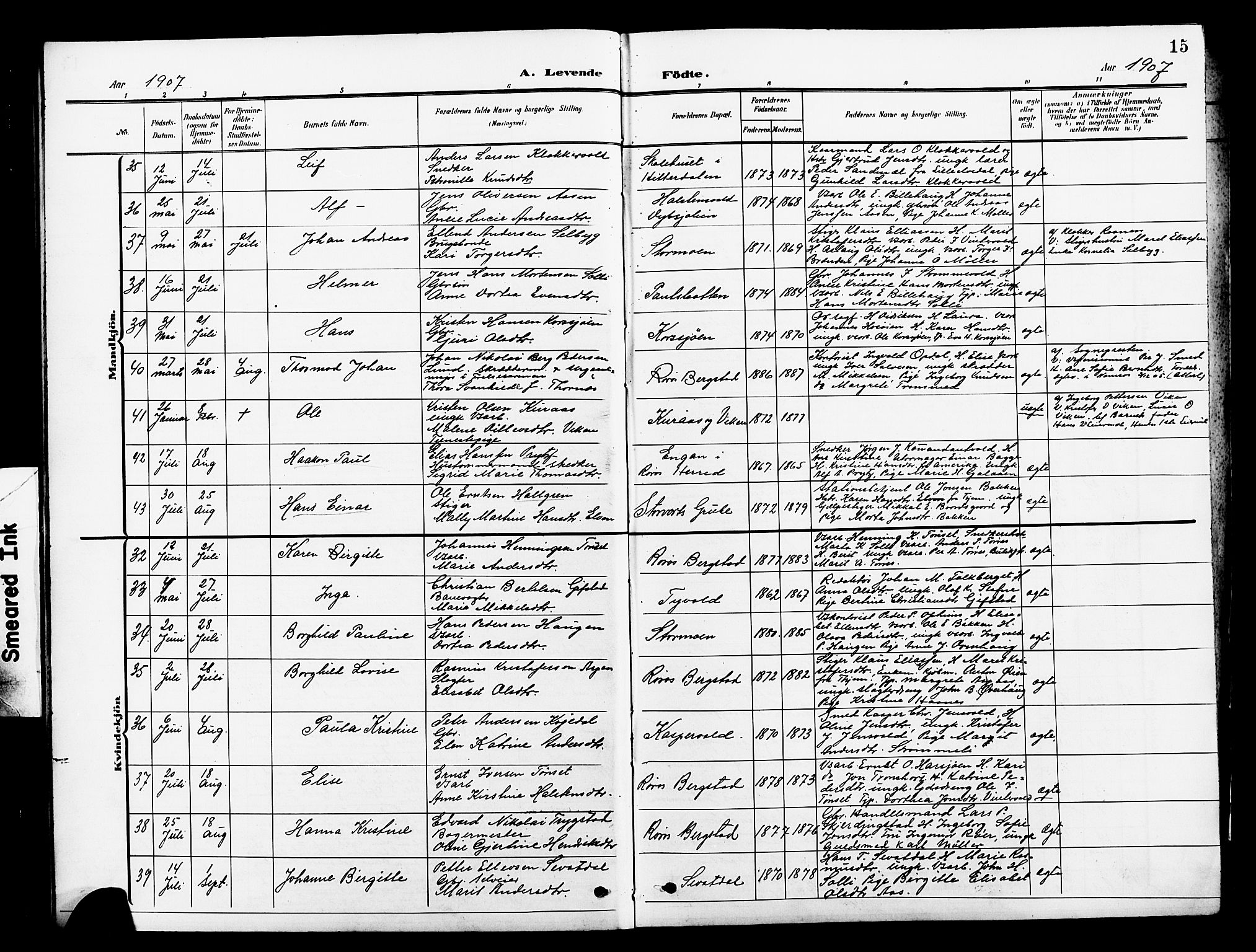 Ministerialprotokoller, klokkerbøker og fødselsregistre - Sør-Trøndelag, AV/SAT-A-1456/681/L0942: Klokkerbok nr. 681C06, 1906-1925, s. 15