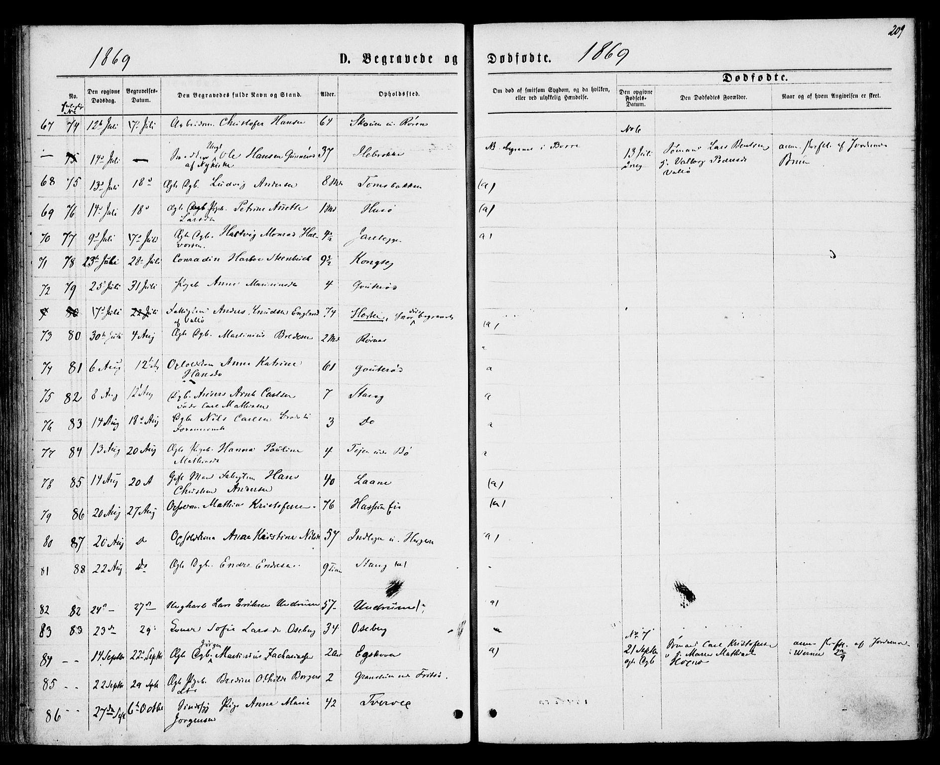 Sem kirkebøker, AV/SAKO-A-5/F/Fa/L0008: Ministerialbok nr. I 8, 1866-1873, s. 209
