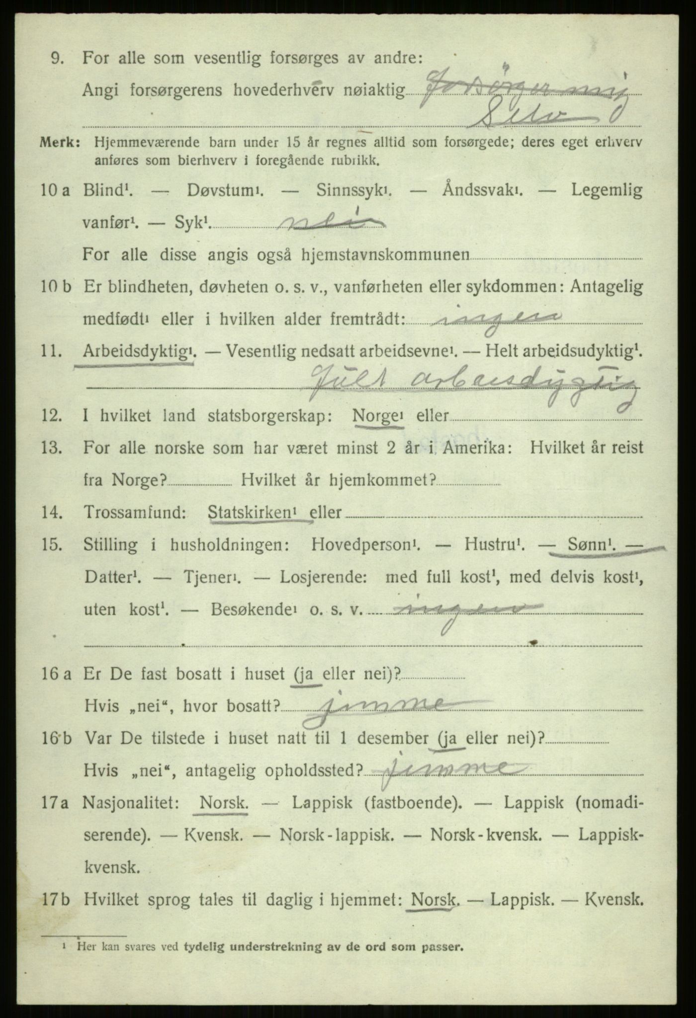 SATØ, Folketelling 1920 for 1917 Ibestad herred, 1920, s. 13239