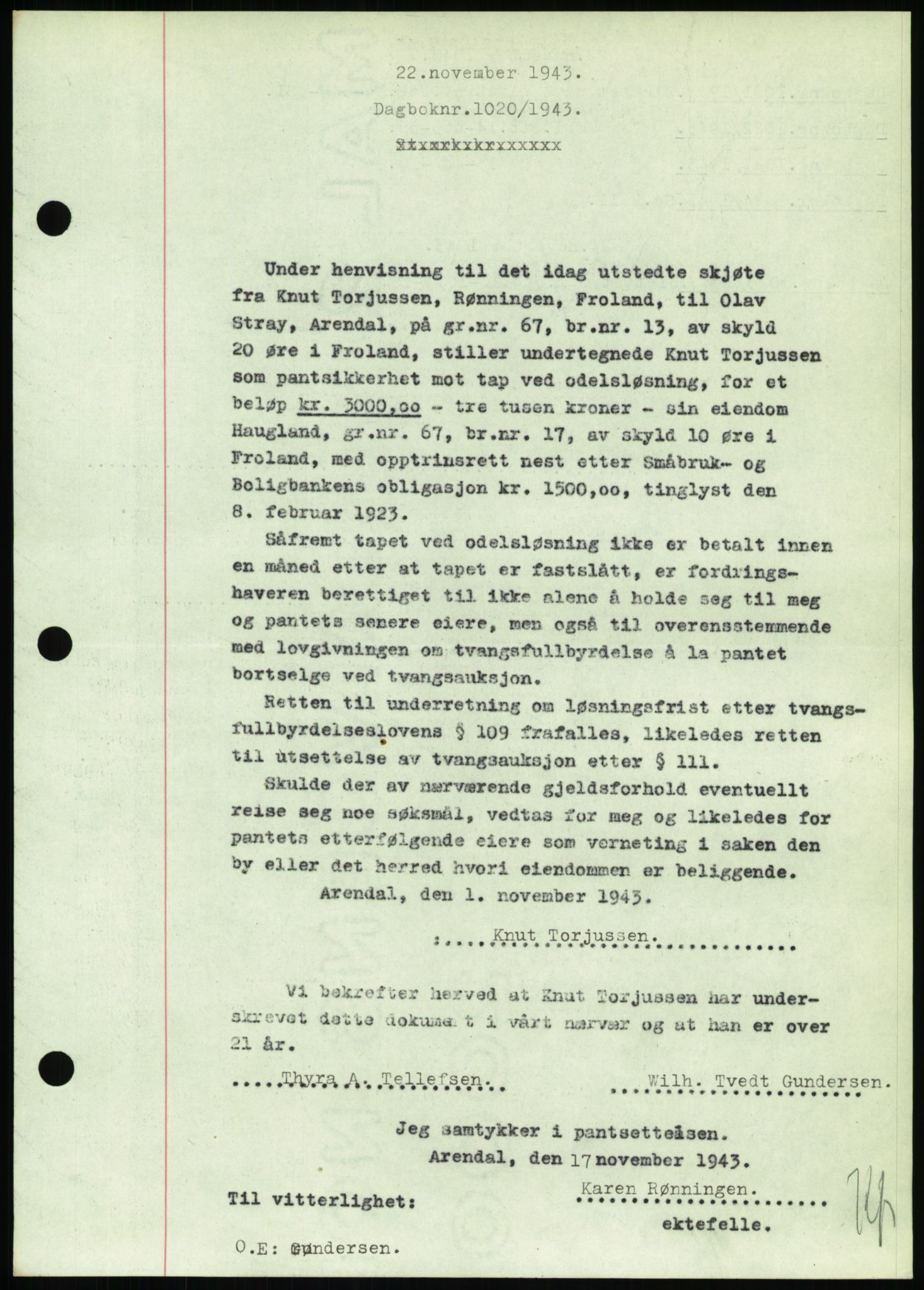 Nedenes sorenskriveri, SAK/1221-0006/G/Gb/Gbb/L0002: Pantebok nr. II, 1942-1945, Dagboknr: 1020/1943