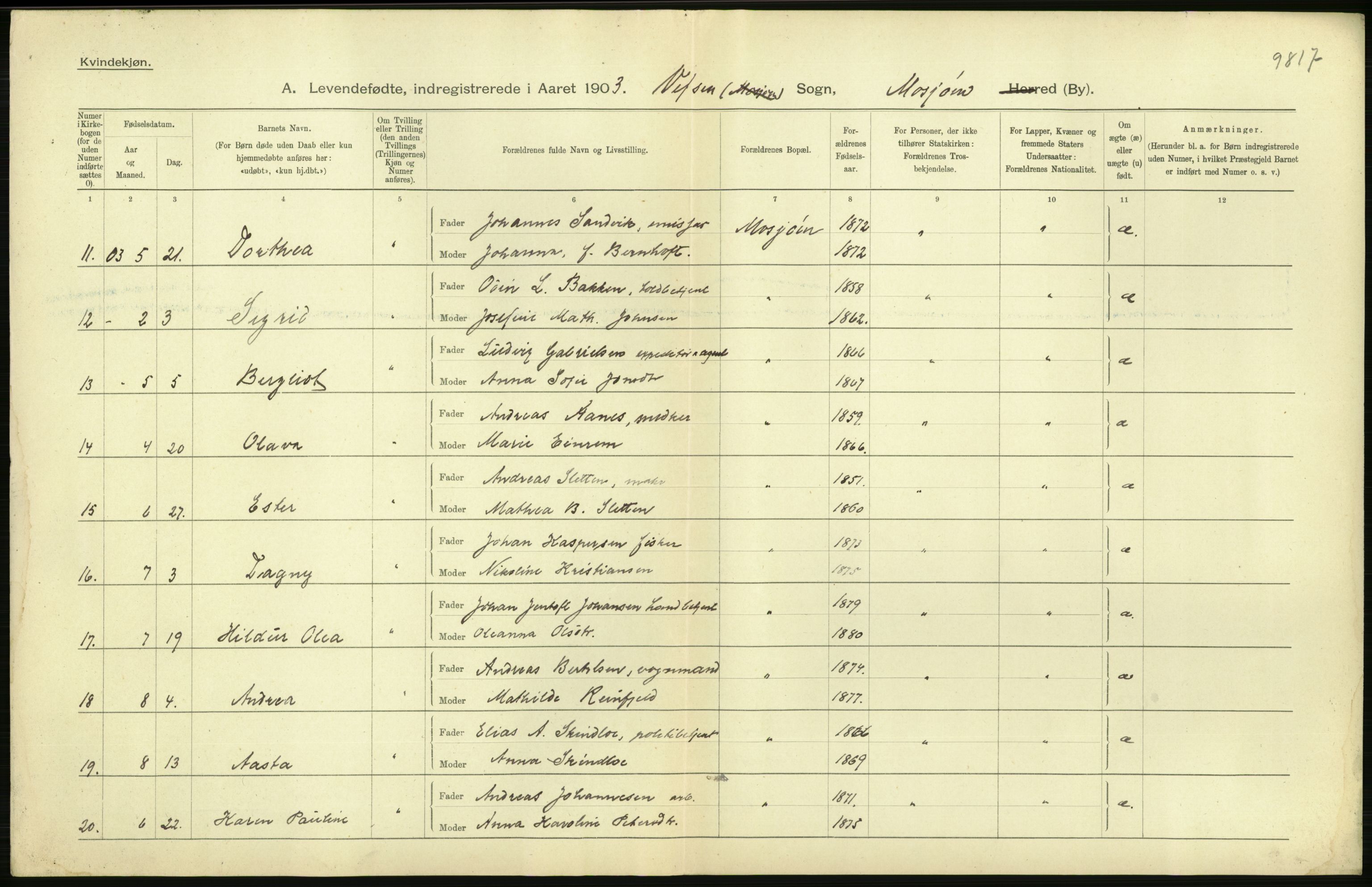 Statistisk sentralbyrå, Sosiodemografiske emner, Befolkning, AV/RA-S-2228/D/Df/Dfa/Dfaa/L0019: Nordlands amt: Fødte, gifte, døde., 1903, s. 22