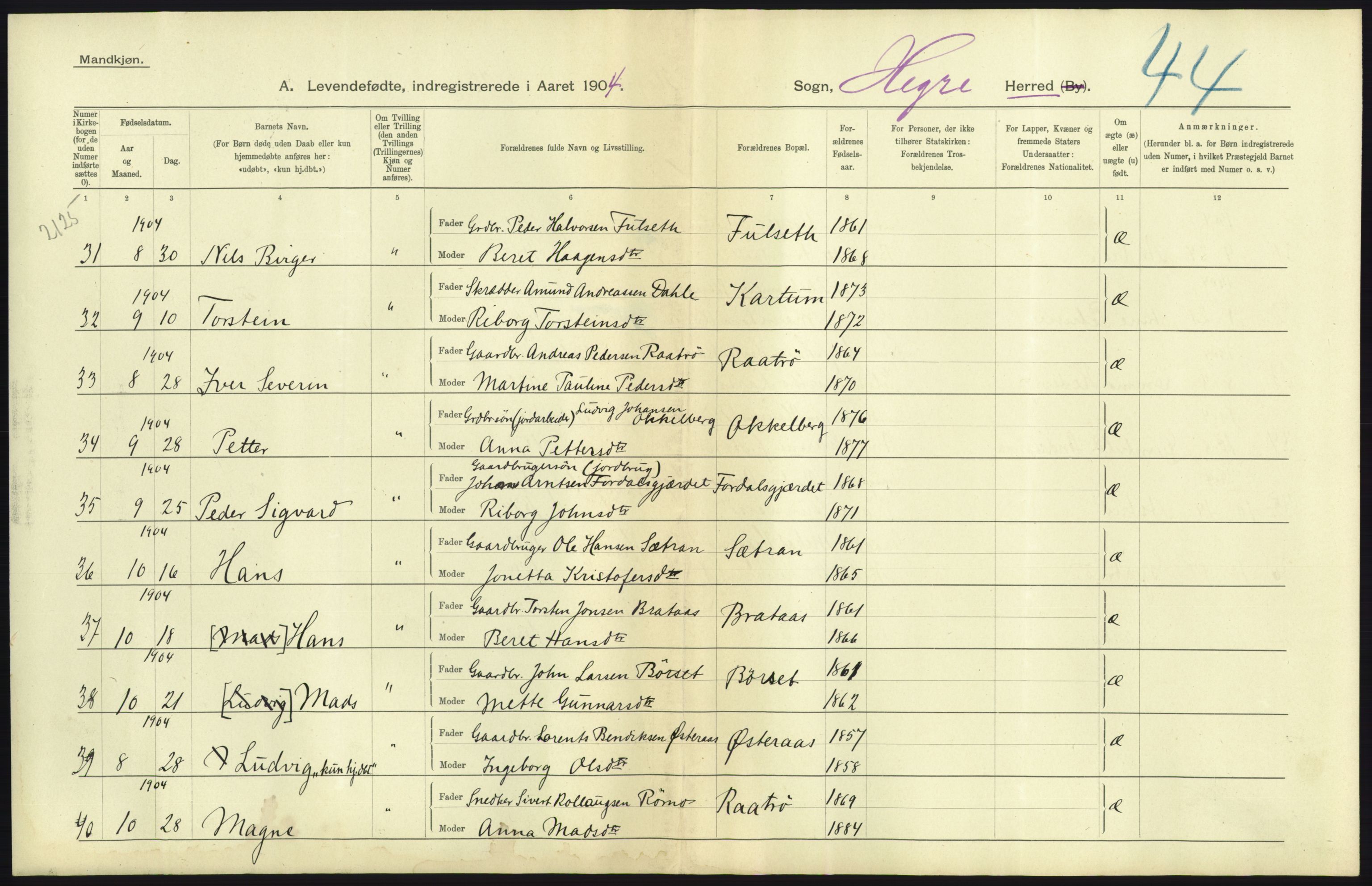 Statistisk sentralbyrå, Sosiodemografiske emner, Befolkning, RA/S-2228/D/Df/Dfa/Dfab/L0019: Nordre Trondhjems amt: Fødte, gifte, døde, 1904, s. 63