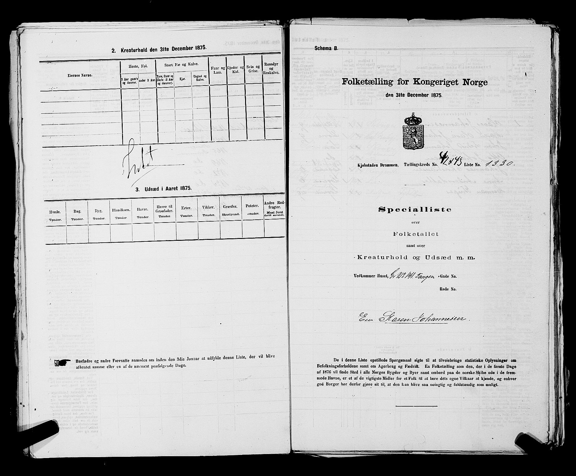 SAKO, Folketelling 1875 for 0602 Drammen kjøpstad, 1875, s. 3606