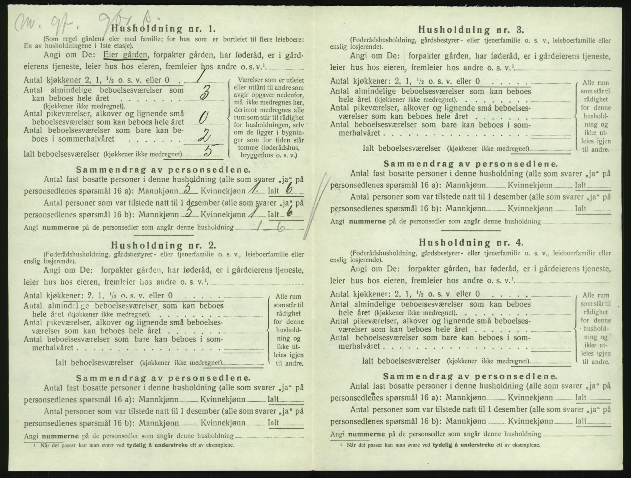 SAKO, Folketelling 1920 for 0727 Hedrum herred, 1920, s. 996