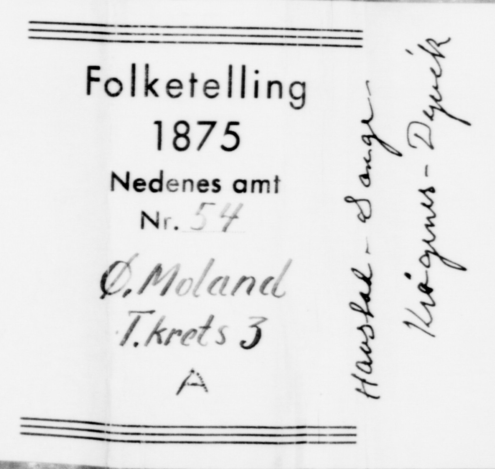 SAK, Folketelling 1875 for 0918P Austre Moland prestegjeld, 1875, s. 1162