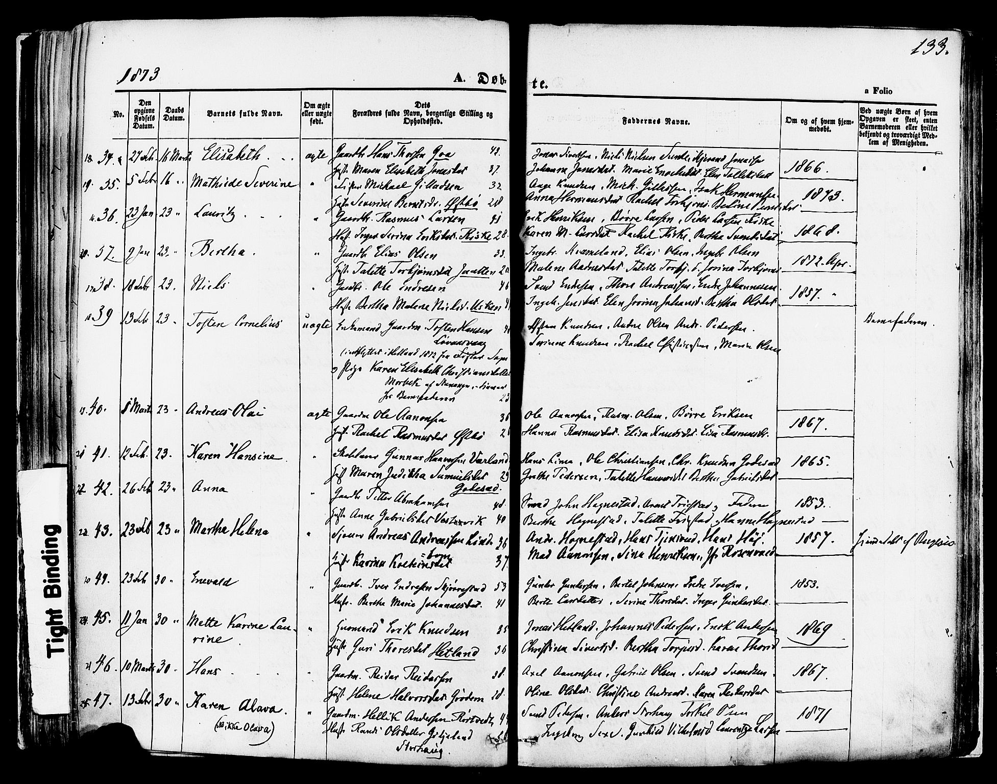 Hetland sokneprestkontor, AV/SAST-A-101826/30/30BA/L0003: Ministerialbok nr. A 3, 1862-1876, s. 133