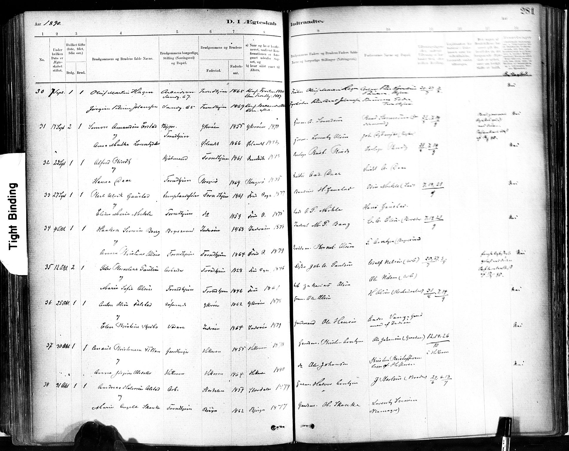 Ministerialprotokoller, klokkerbøker og fødselsregistre - Sør-Trøndelag, SAT/A-1456/602/L0119: Ministerialbok nr. 602A17, 1880-1901, s. 281