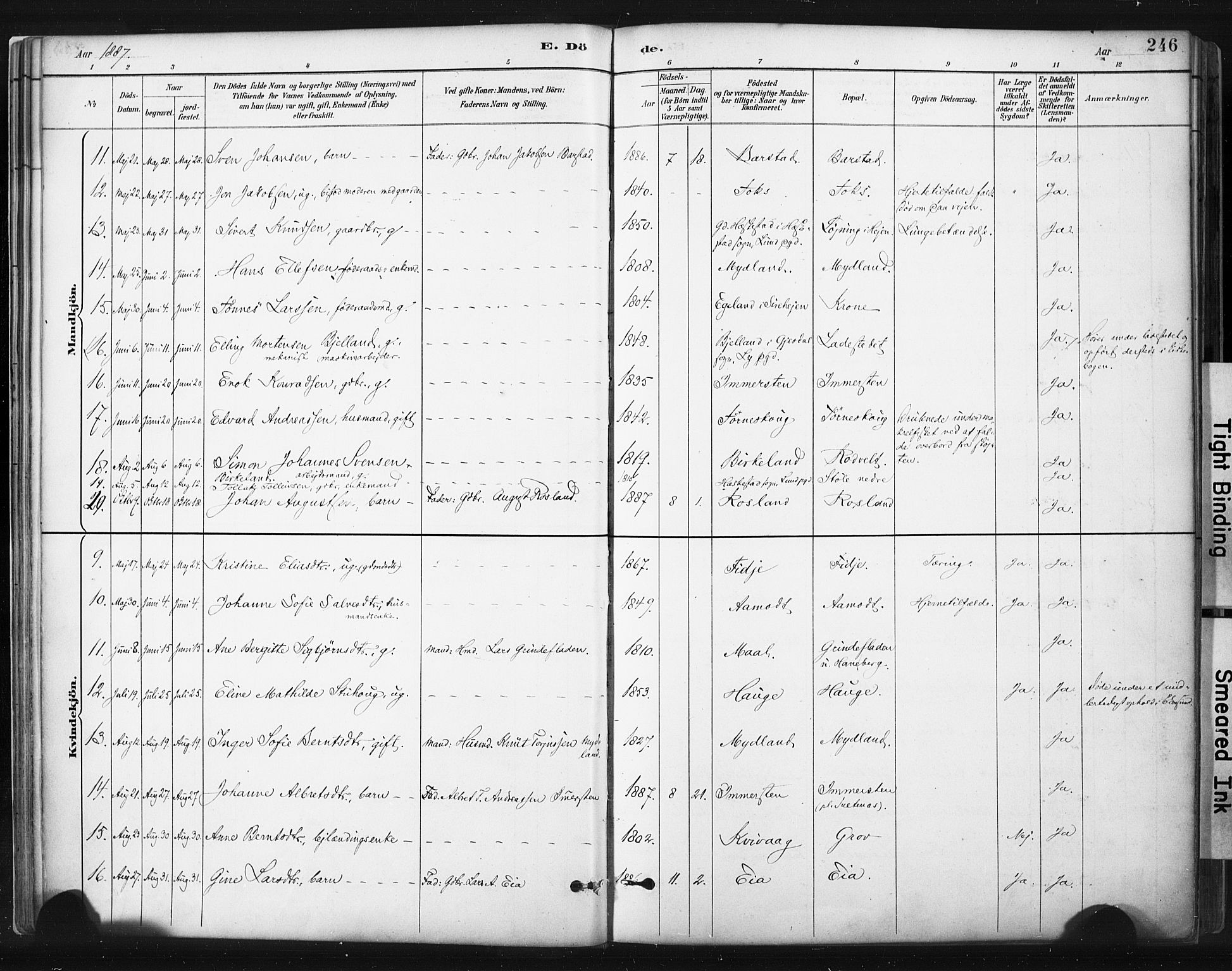 Sokndal sokneprestkontor, AV/SAST-A-101808: Ministerialbok nr. A 11.2, 1887-1905, s. 246