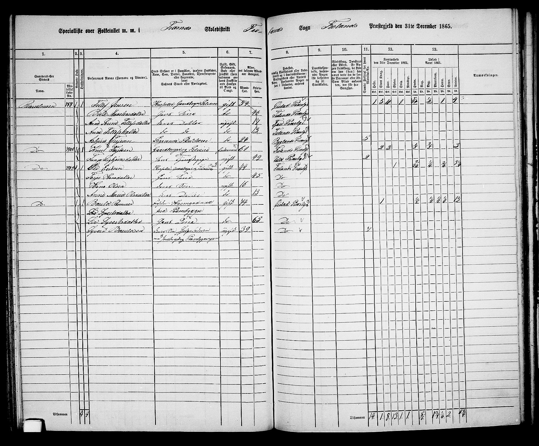 RA, Folketelling 1865 for 0919P Froland prestegjeld, 1865, s. 55