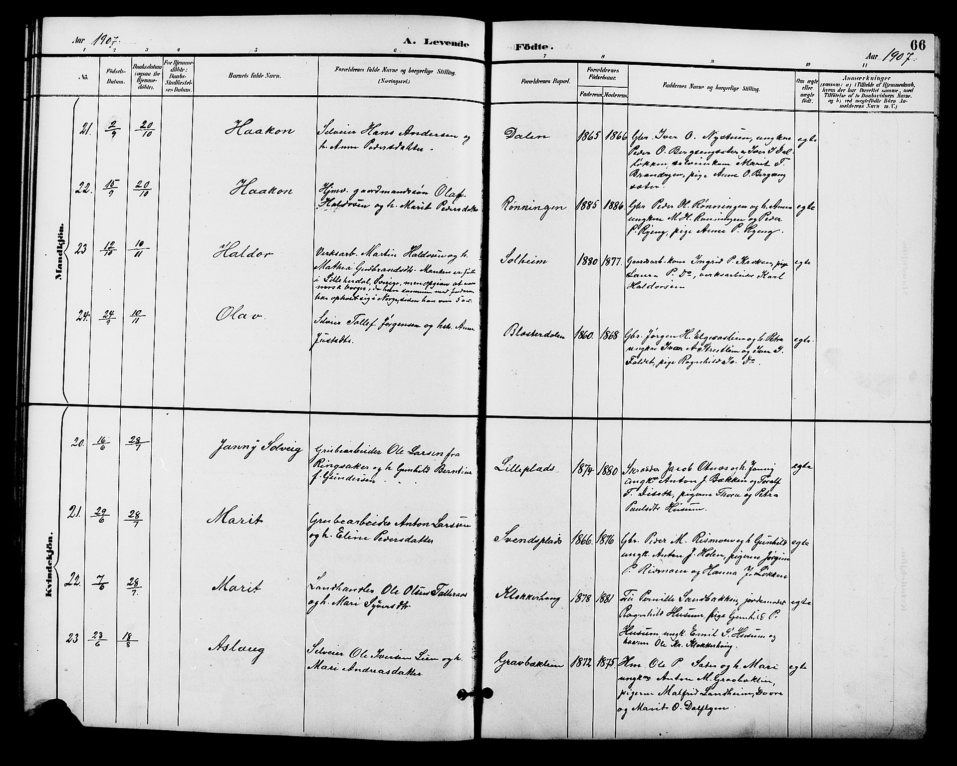 Alvdal prestekontor, AV/SAH-PREST-060/H/Ha/Hab/L0004: Klokkerbok nr. 4, 1894-1910, s. 66