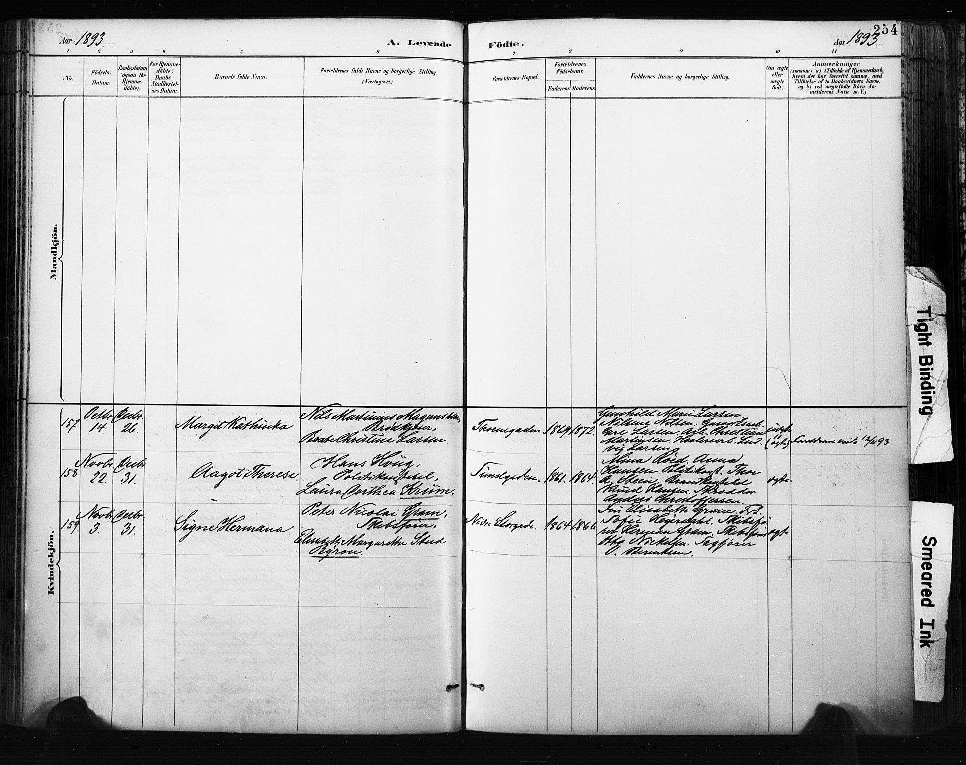Bragernes kirkebøker, AV/SAKO-A-6/F/Fb/L0007: Ministerialbok nr. II 7, 1885-1893, s. 254