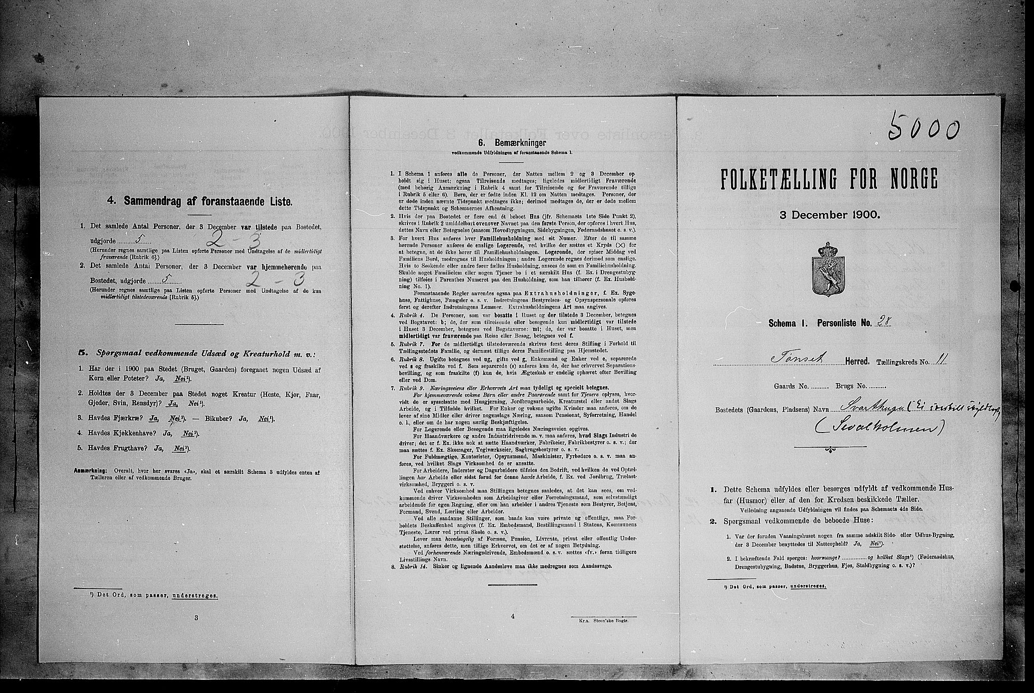 SAH, Folketelling 1900 for 0437 Tynset herred, 1900, s. 1053