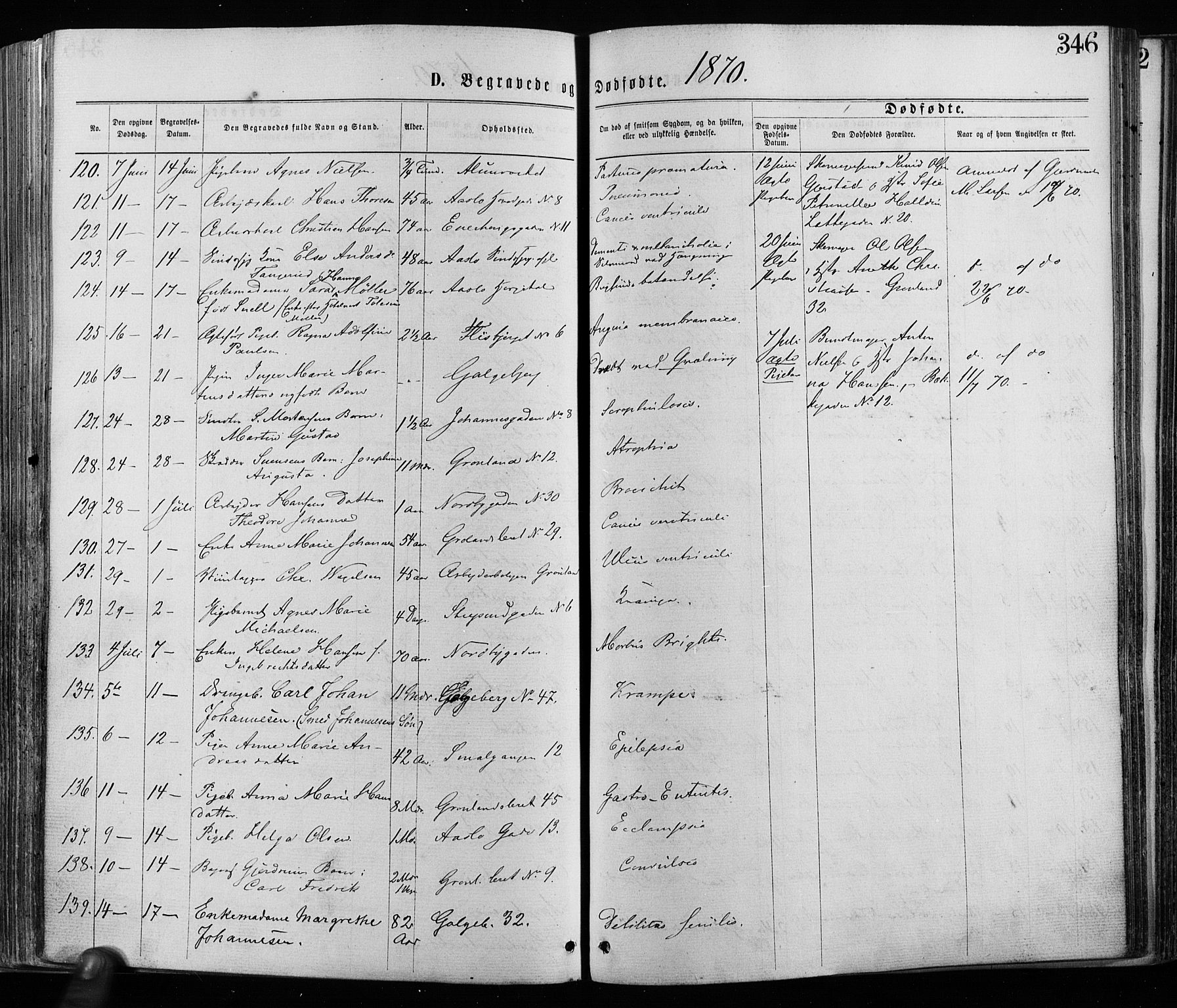 Grønland prestekontor Kirkebøker, SAO/A-10848/F/Fa/L0005: Ministerialbok nr. 5, 1869-1880, s. 346
