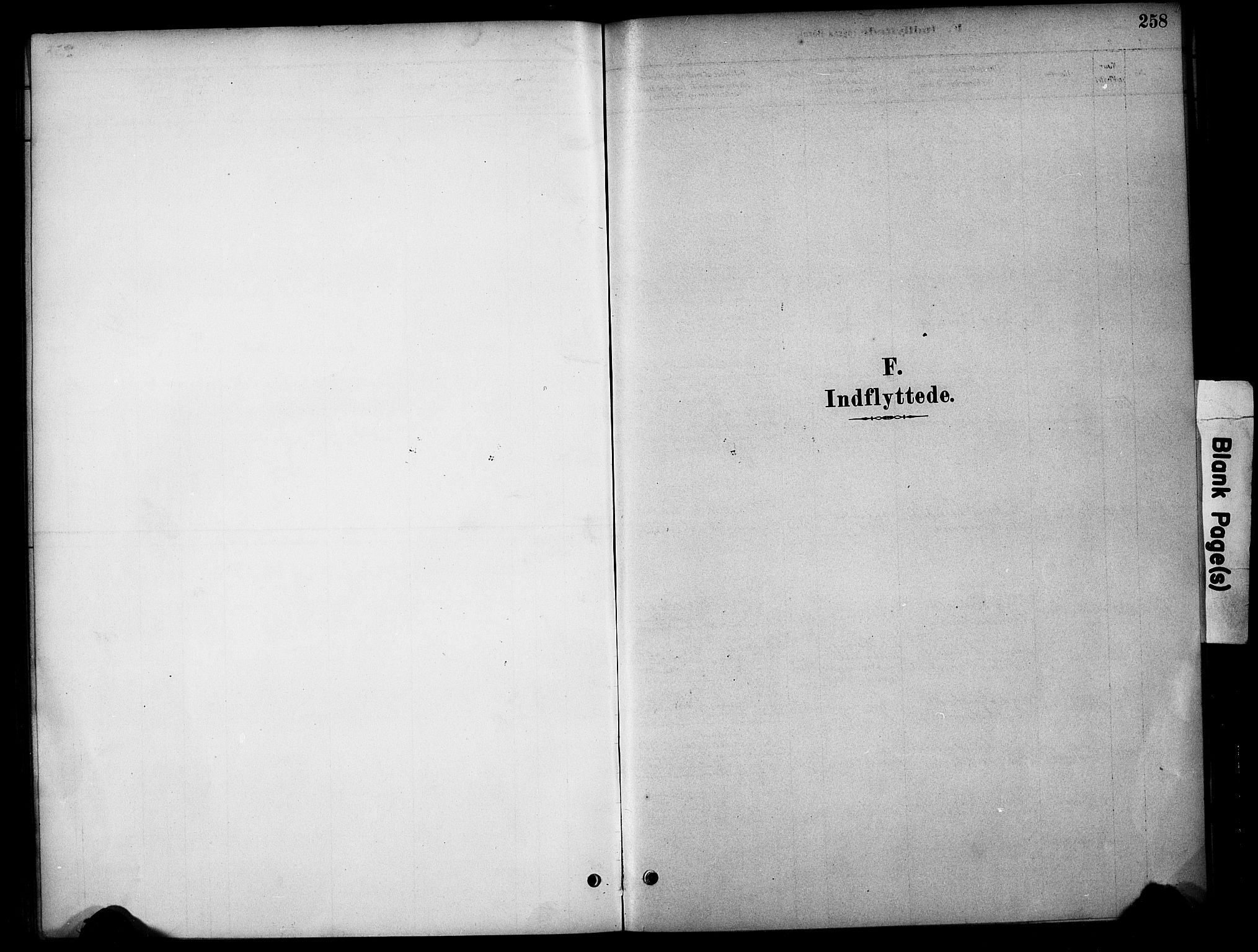 Tynset prestekontor, AV/SAH-PREST-058/H/Ha/Hab/L0006: Klokkerbok nr. 6, 1880-1899, s. 258