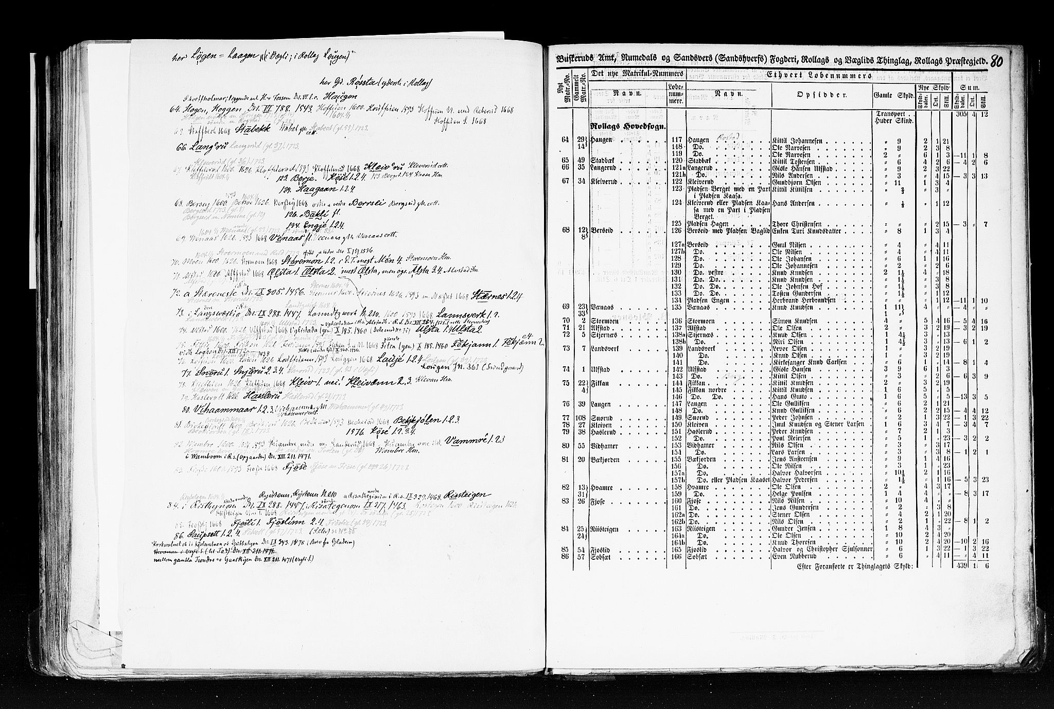 Rygh, AV/RA-PA-0034/F/Fb/L0005: Matrikkelen for 1838 - Buskerud amt (Buskerud fylke), 1838, s. 80a