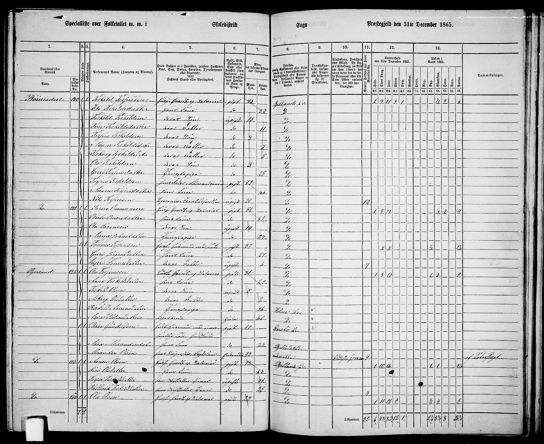 RA, Folketelling 1865 for 1024P Bjelland prestegjeld, 1865, s. 85