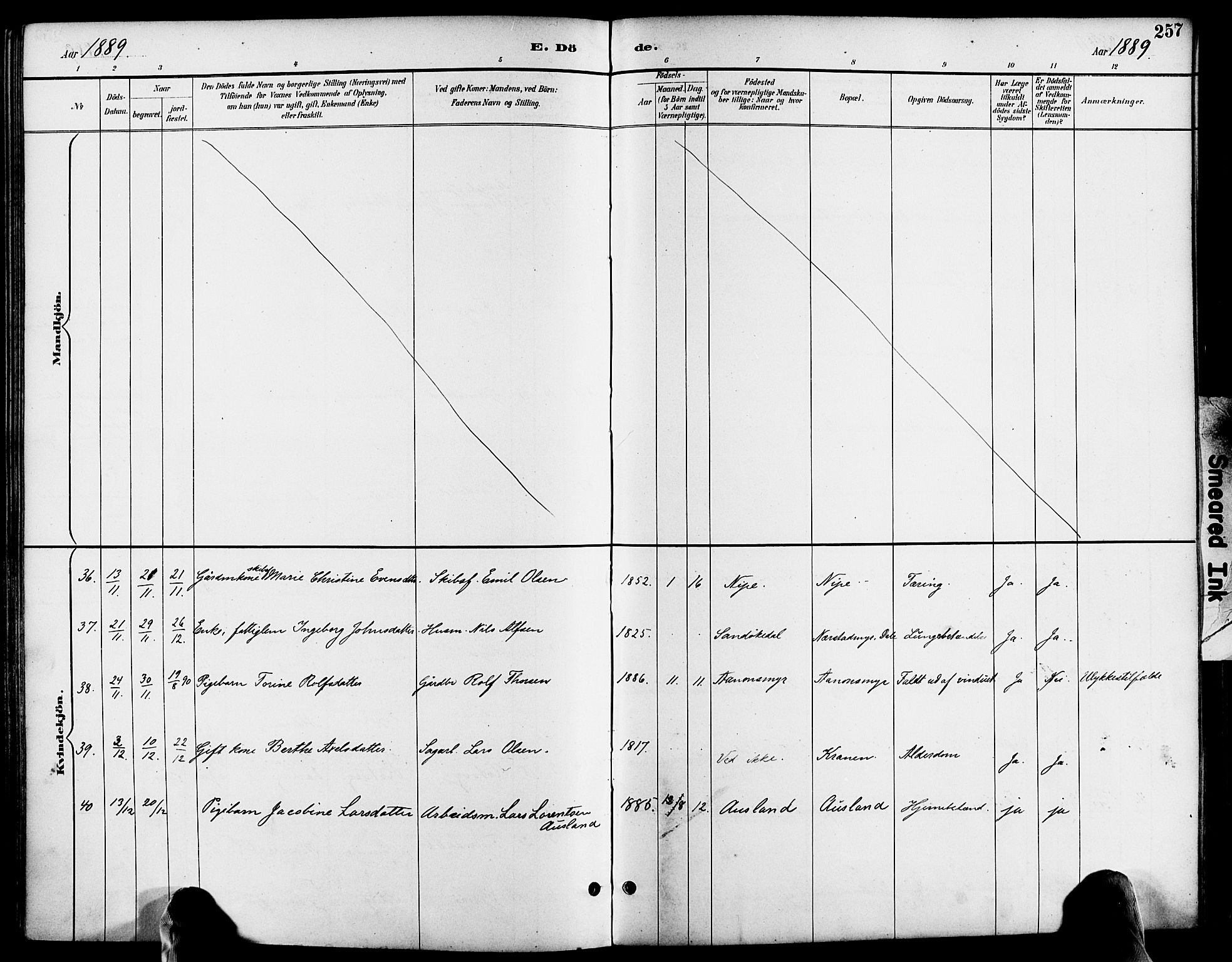 Søndeled sokneprestkontor, AV/SAK-1111-0038/F/Fa/L0005: Ministerialbok nr. A 5, 1889-1899, s. 257