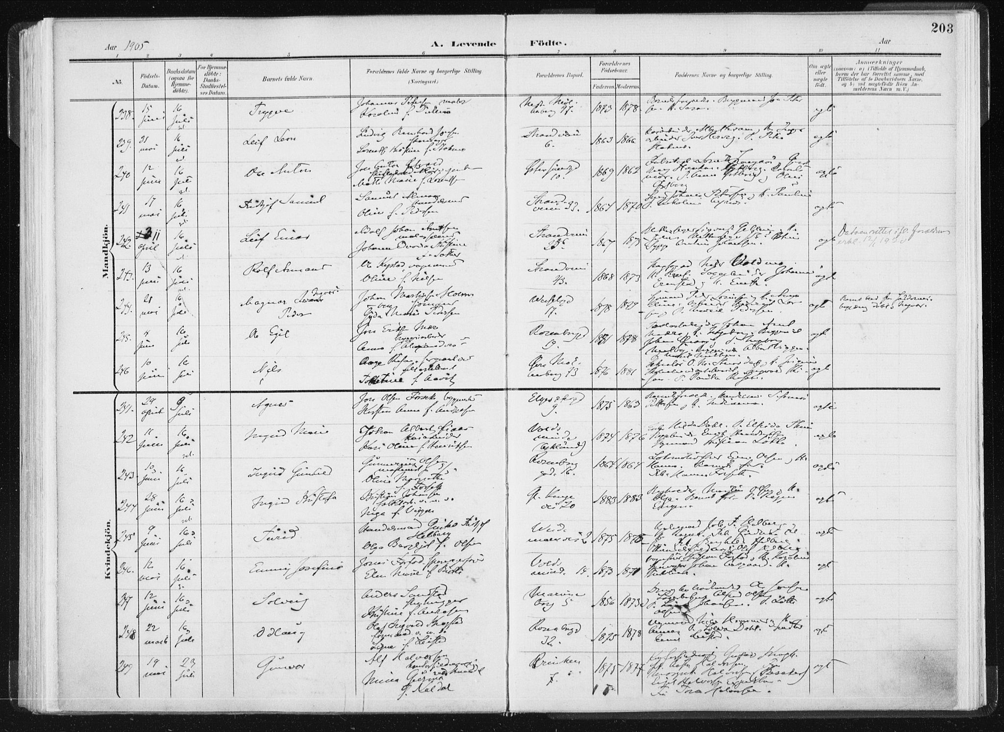 Ministerialprotokoller, klokkerbøker og fødselsregistre - Sør-Trøndelag, AV/SAT-A-1456/604/L0199: Ministerialbok nr. 604A20I, 1901-1906, s. 203