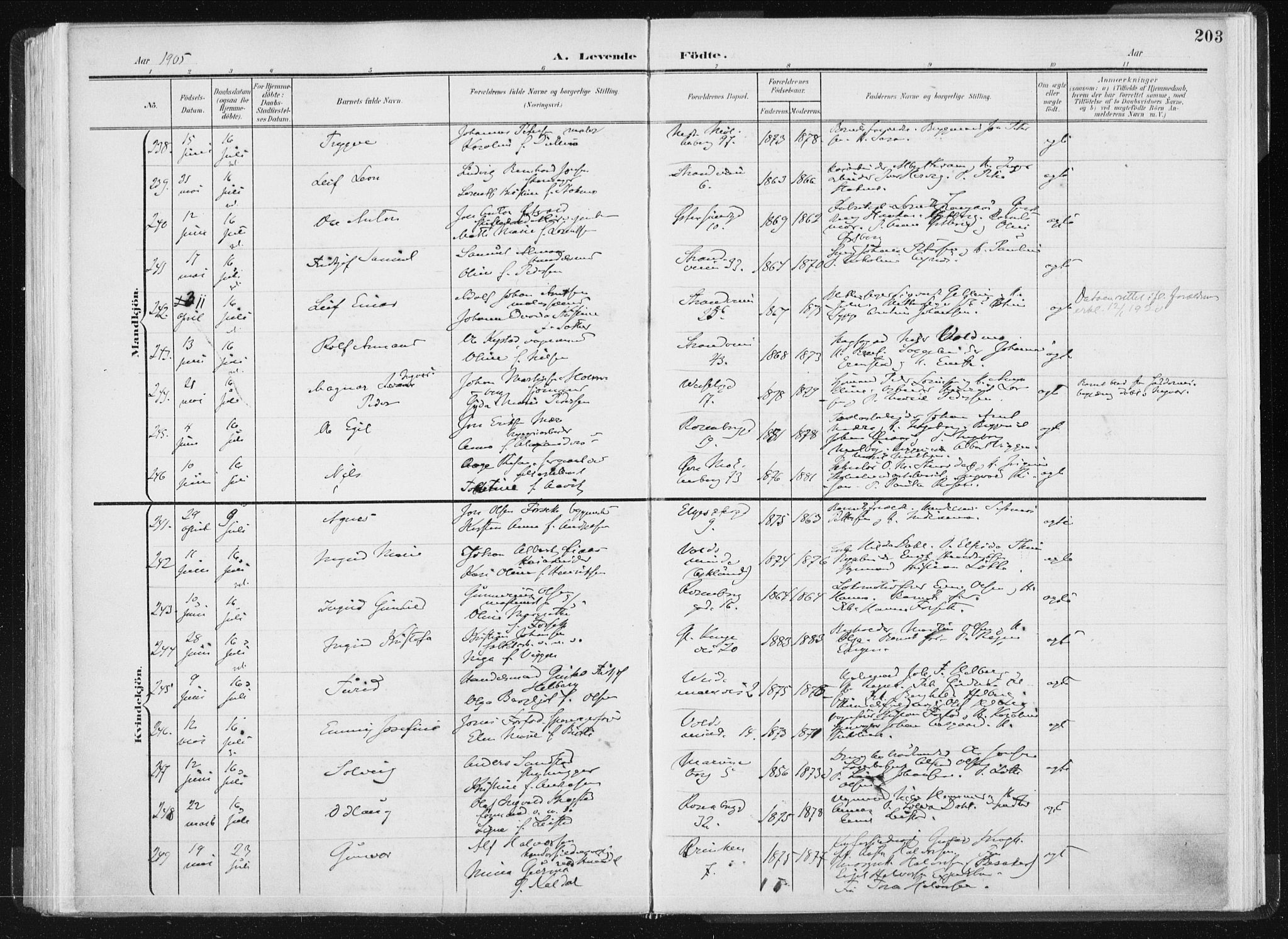 Ministerialprotokoller, klokkerbøker og fødselsregistre - Sør-Trøndelag, SAT/A-1456/604/L0199: Ministerialbok nr. 604A20I, 1901-1906, s. 203