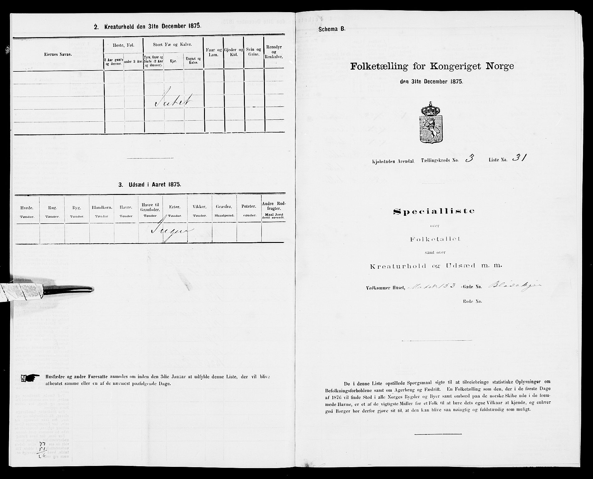 SAK, Folketelling 1875 for 0903P Arendal prestegjeld, 1875, s. 79