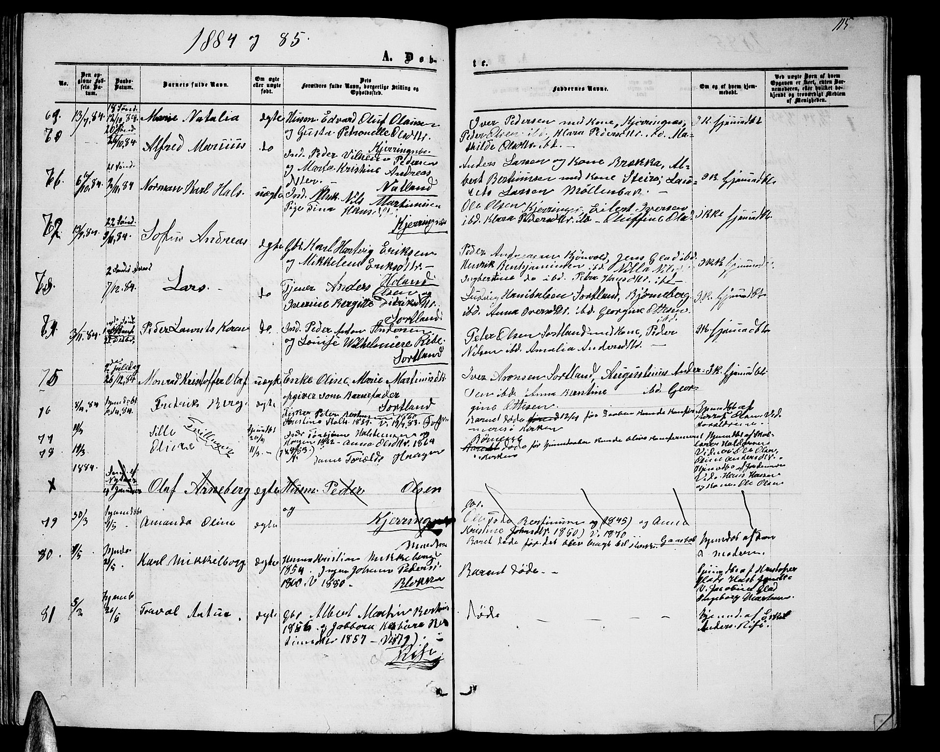 Ministerialprotokoller, klokkerbøker og fødselsregistre - Nordland, AV/SAT-A-1459/895/L1381: Klokkerbok nr. 895C03, 1864-1885, s. 115