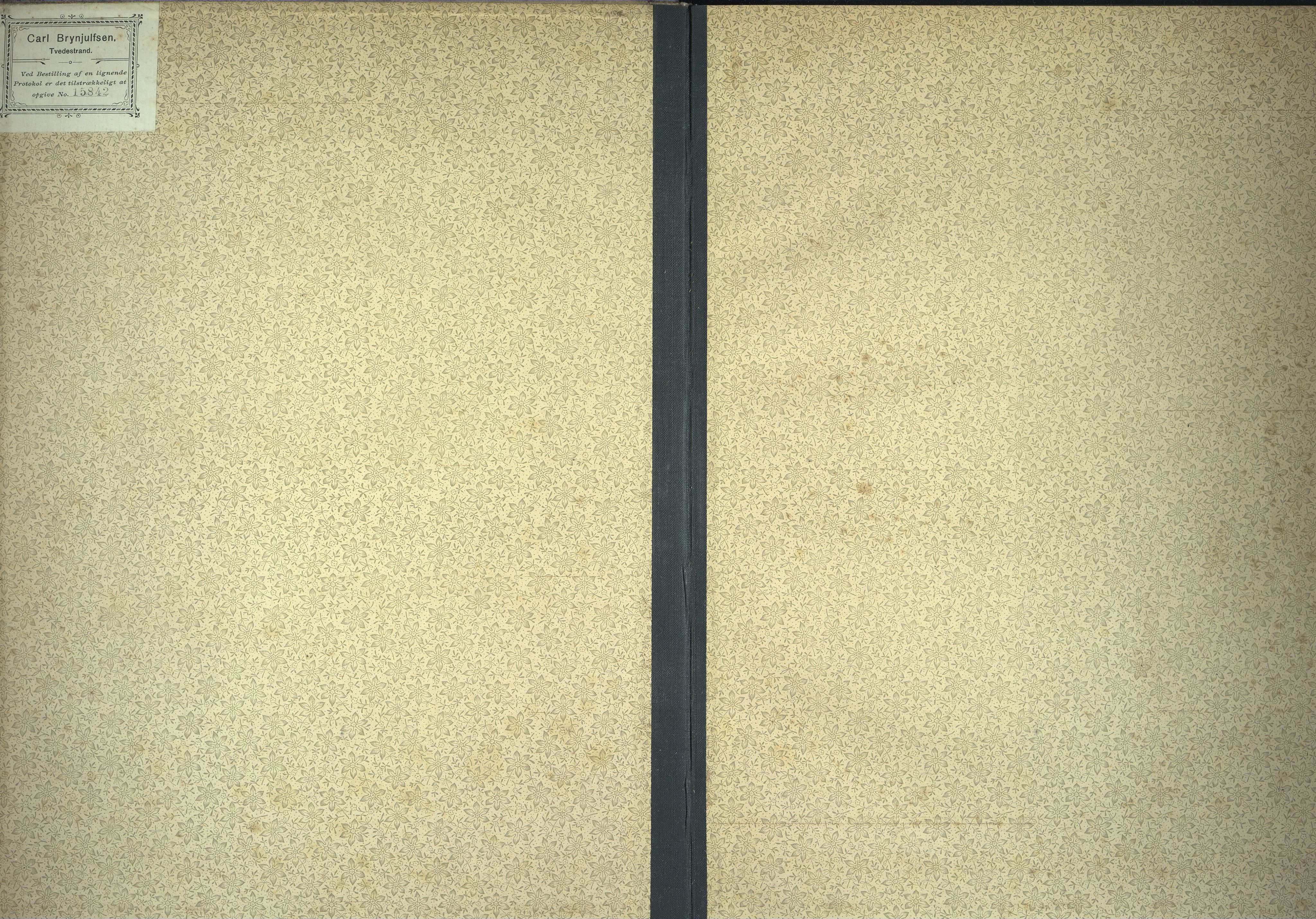 Næs Jernverk, NESJ/NJM-004/09/L0019: Dag-journal - boks 9.19, 1903-1905