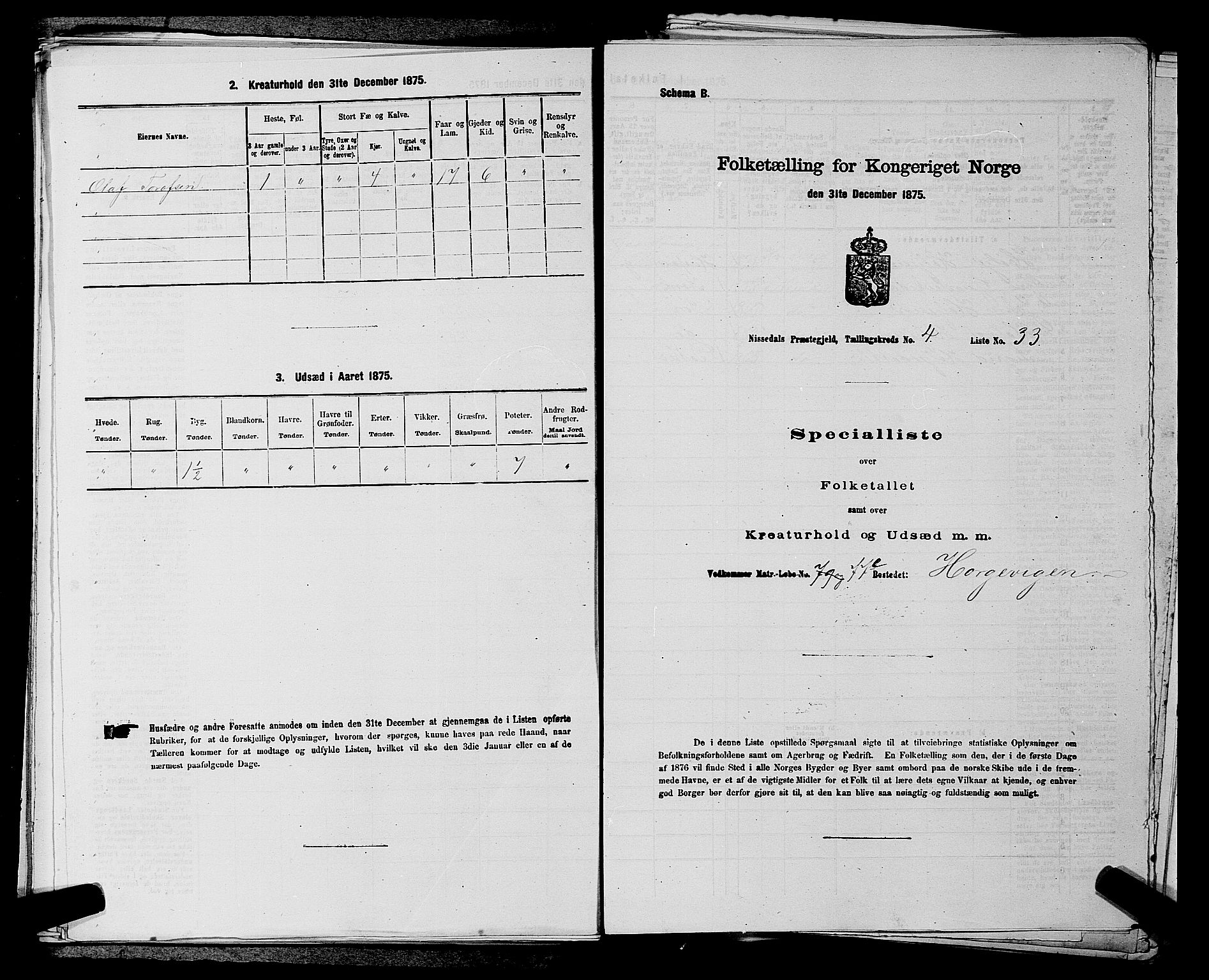 SAKO, Folketelling 1875 for 0830P Nissedal prestegjeld, 1875, s. 345