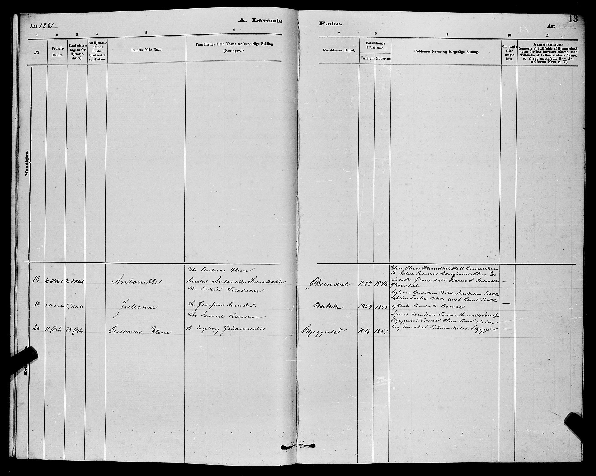 Bakke sokneprestkontor, SAK/1111-0002/F/Fb/Fba/L0002: Klokkerbok nr. B 2, 1879-1893, s. 13