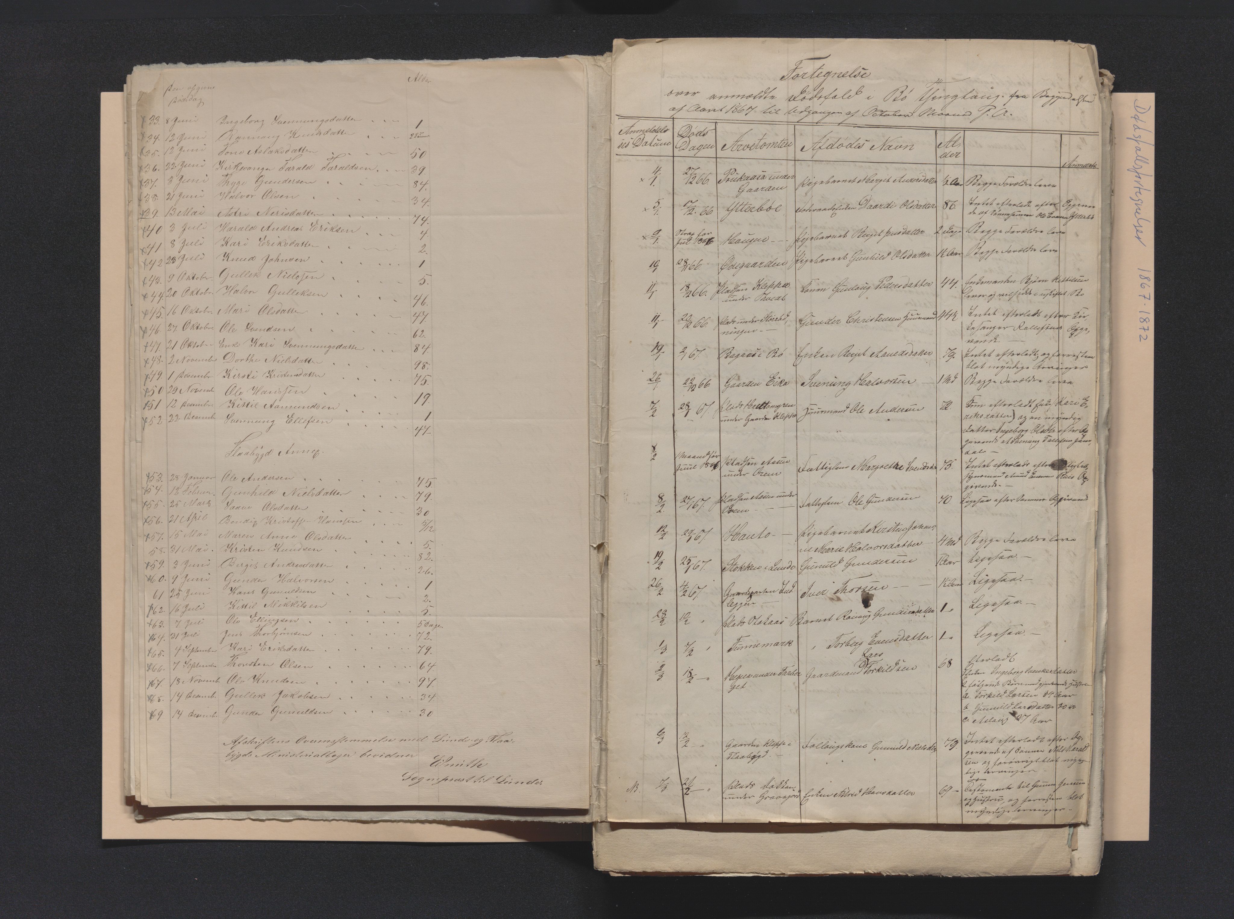 Nedre Telemark sorenskriveri, AV/SAKO-A-135/H/Ha/Hab/L0001: Dødsfallsfortegnelser
, 1867-1886, s. 12