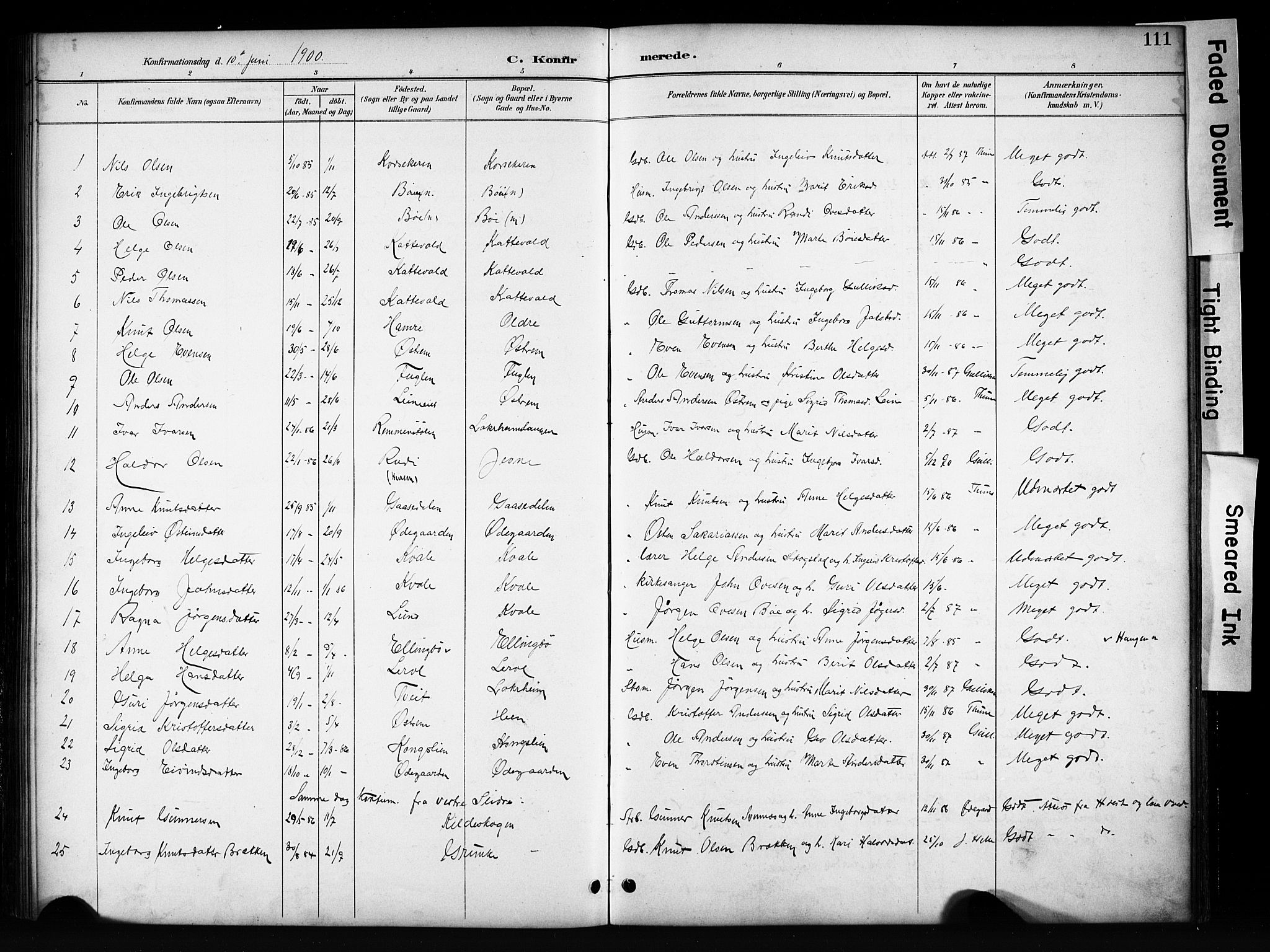 Vang prestekontor, Valdres, AV/SAH-PREST-140/H/Hb/L0006: Klokkerbok nr. 6, 1893-1918, s. 111