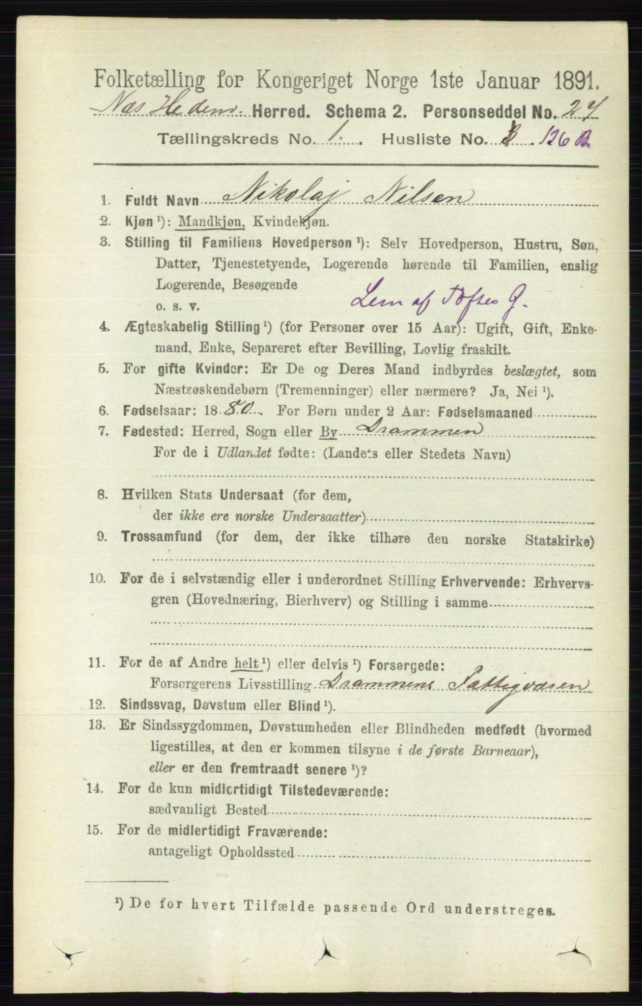 RA, Folketelling 1891 for 0411 Nes herred, 1891, s. 934