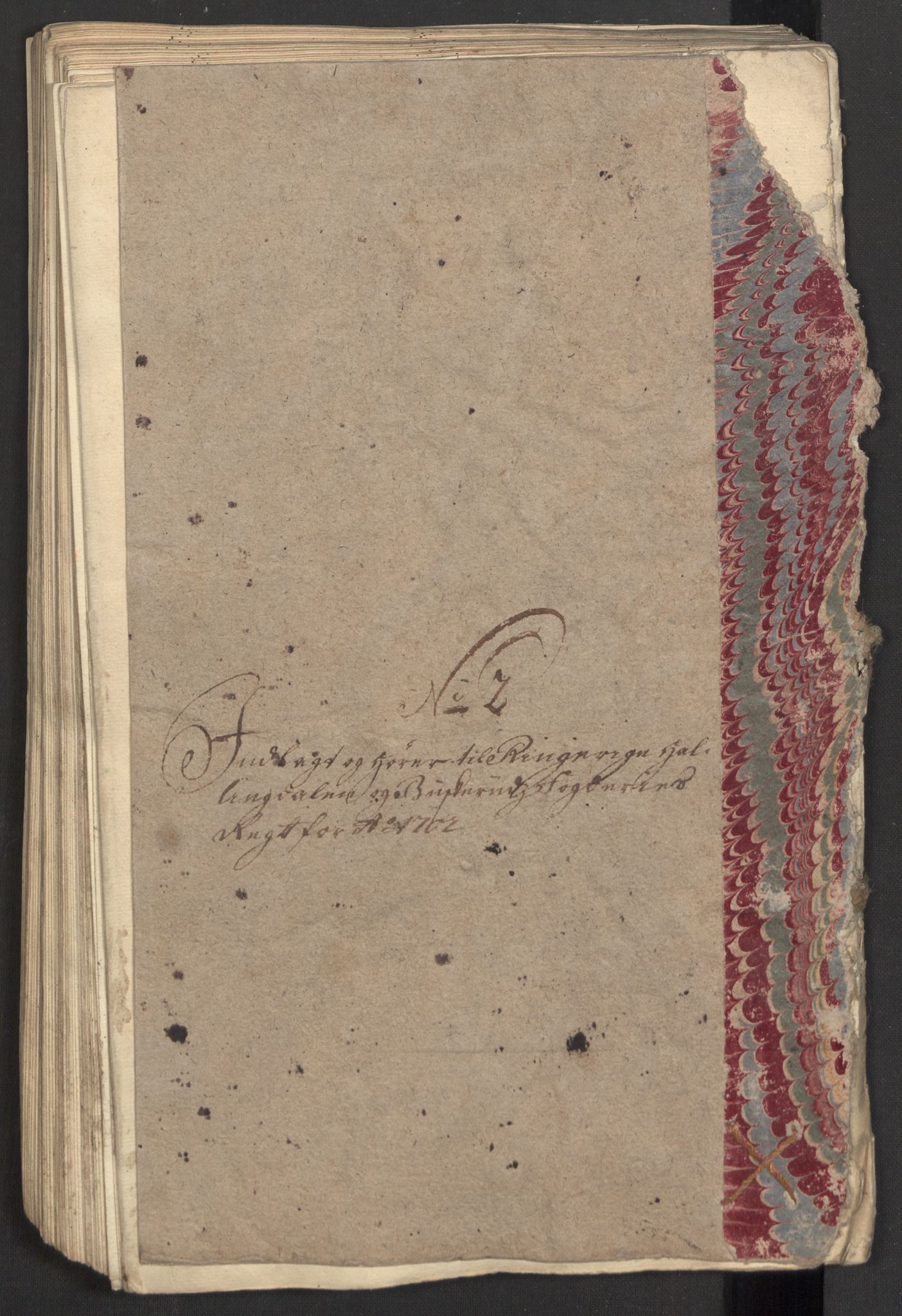 Rentekammeret inntil 1814, Reviderte regnskaper, Fogderegnskap, AV/RA-EA-4092/R22/L1459: Fogderegnskap Ringerike, Hallingdal og Buskerud, 1702, s. 171