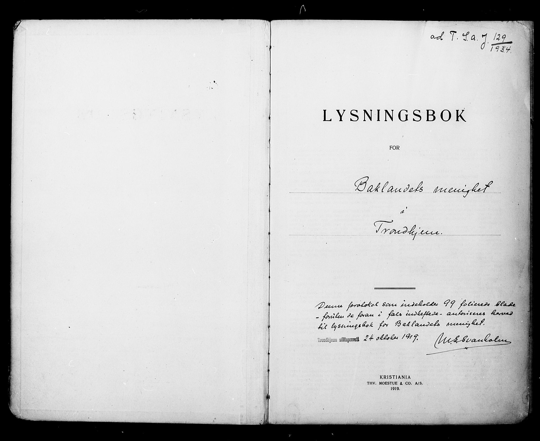 Ministerialprotokoller, klokkerbøker og fødselsregistre - Sør-Trøndelag, SAT/A-1456/604/L0196: Lysningsprotokoll nr. 604A17, 1919-1927