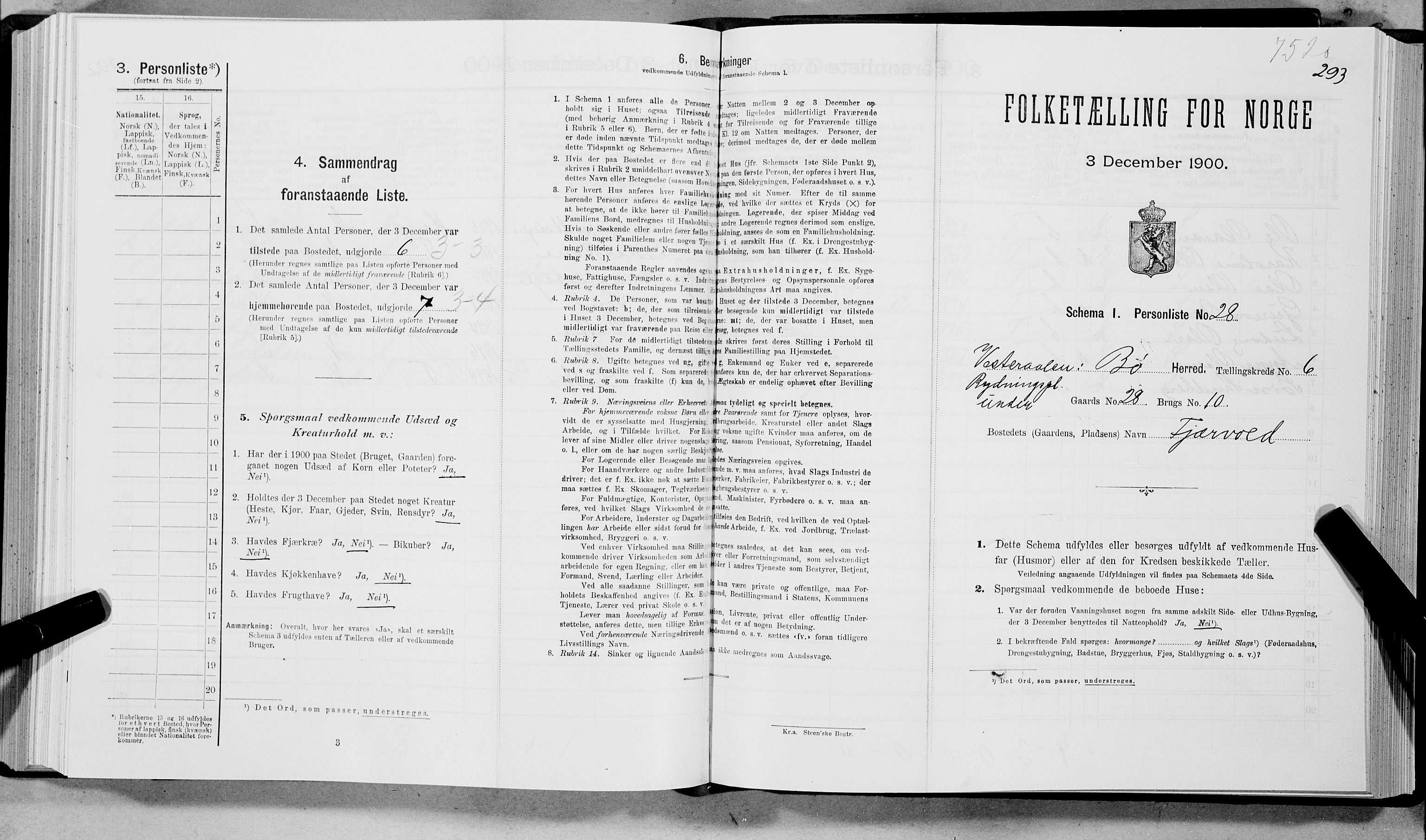 SAT, Folketelling 1900 for 1867 Bø herred, 1900, s. 703