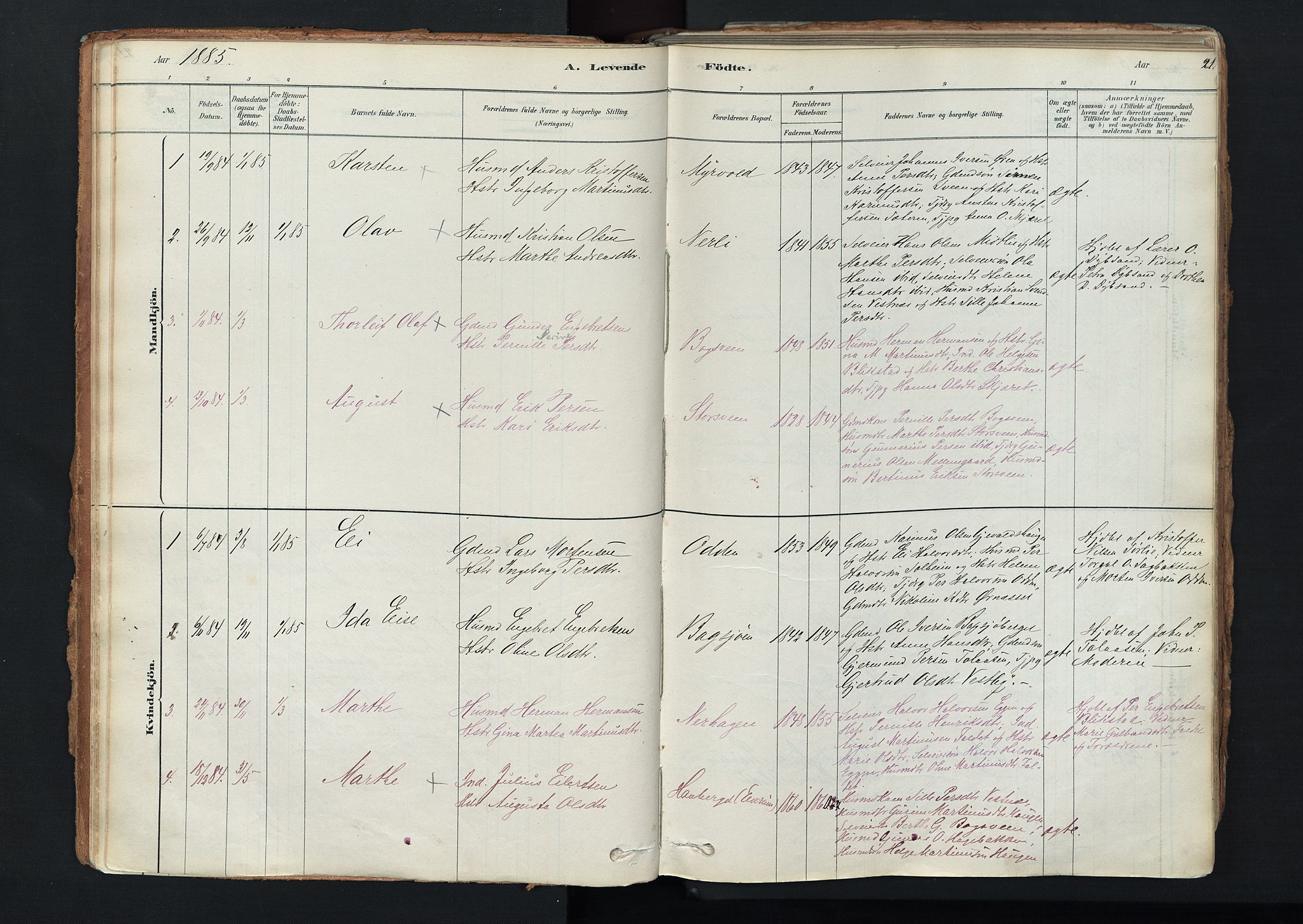 Trysil prestekontor, SAH/PREST-046/H/Ha/Haa/L0011: Ministerialbok nr. 11, 1878-1912, s. 21